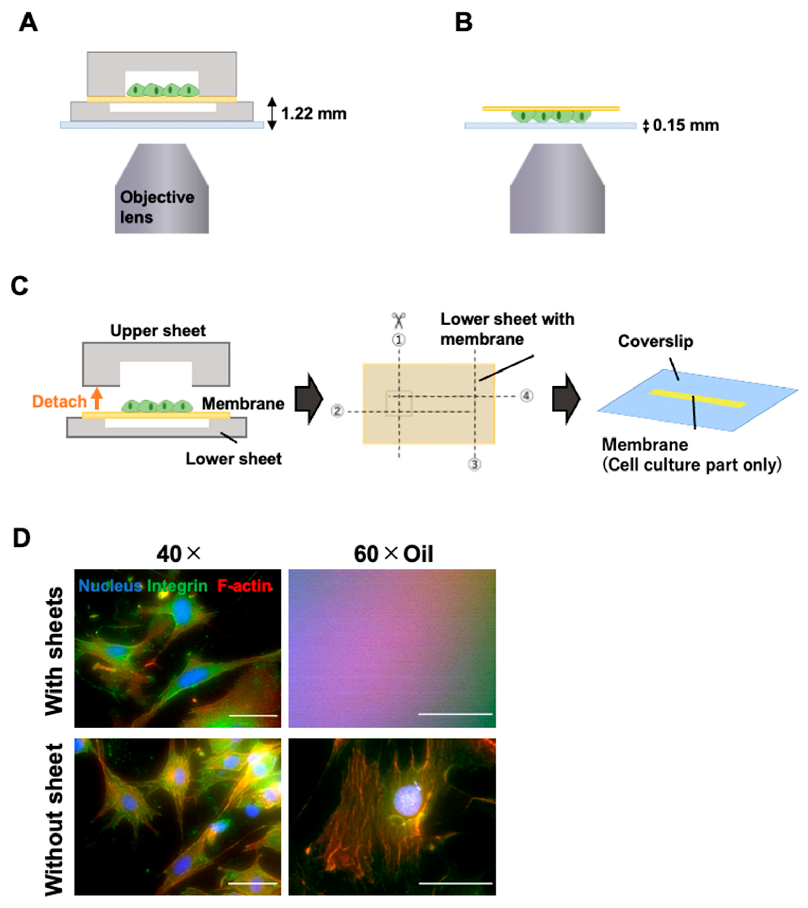 Micromachines 16 00093 g004