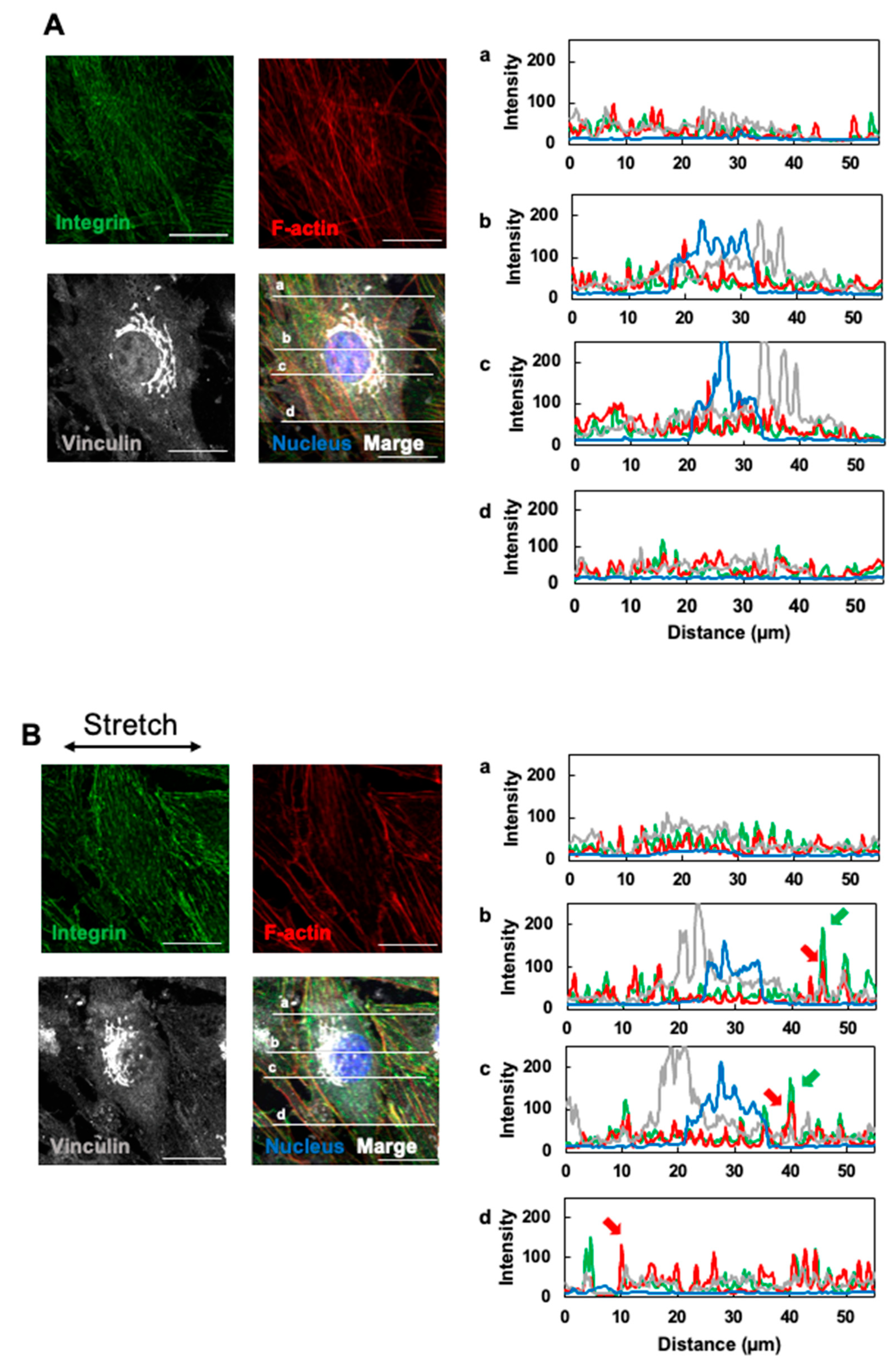 Micromachines 16 00093 g005
