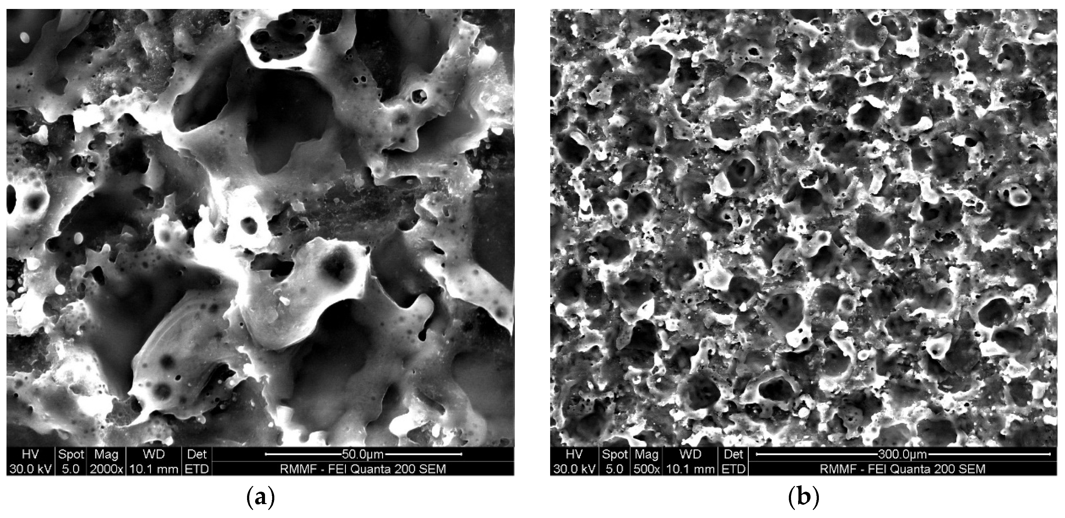 Micromachines 16 00147 g010