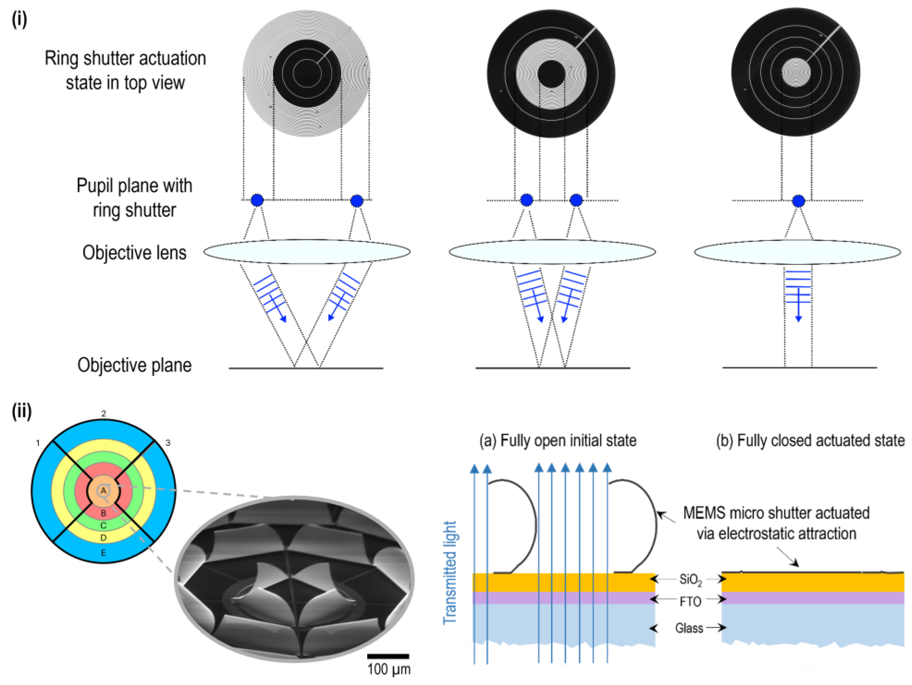 Micromachines 16 00168 g001