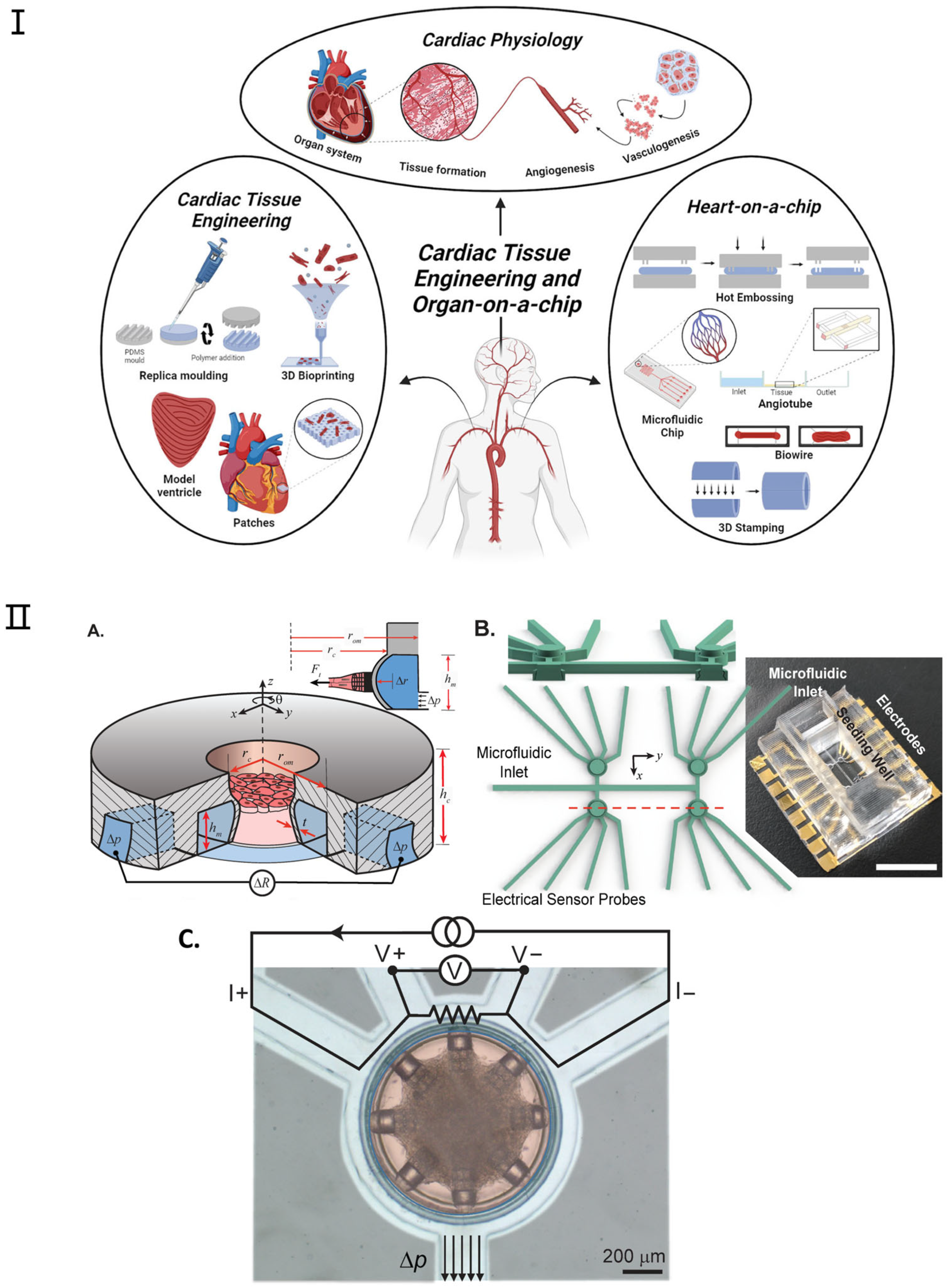 Micromachines 16 00201 g005
