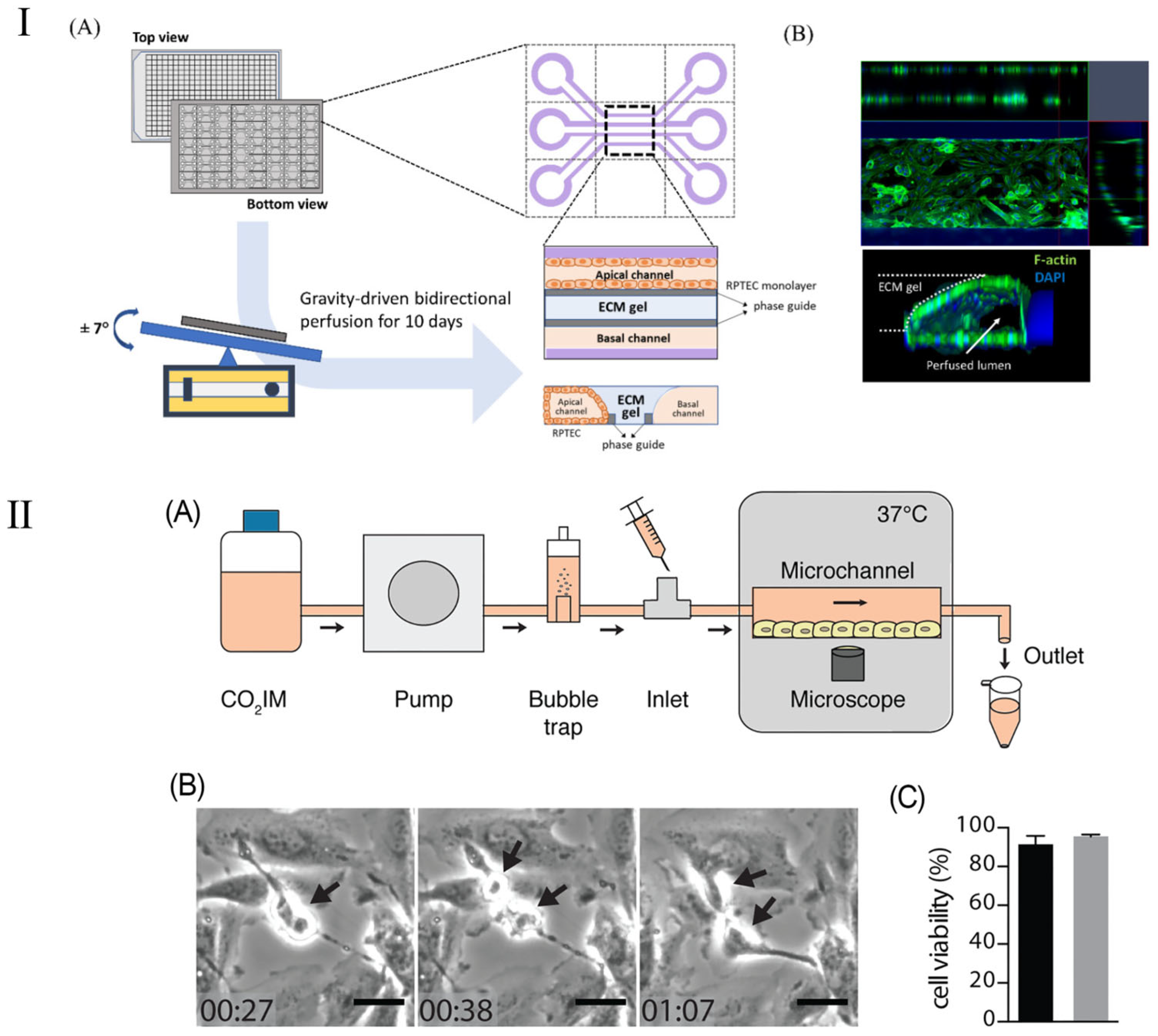 Micromachines 16 00201 g008
