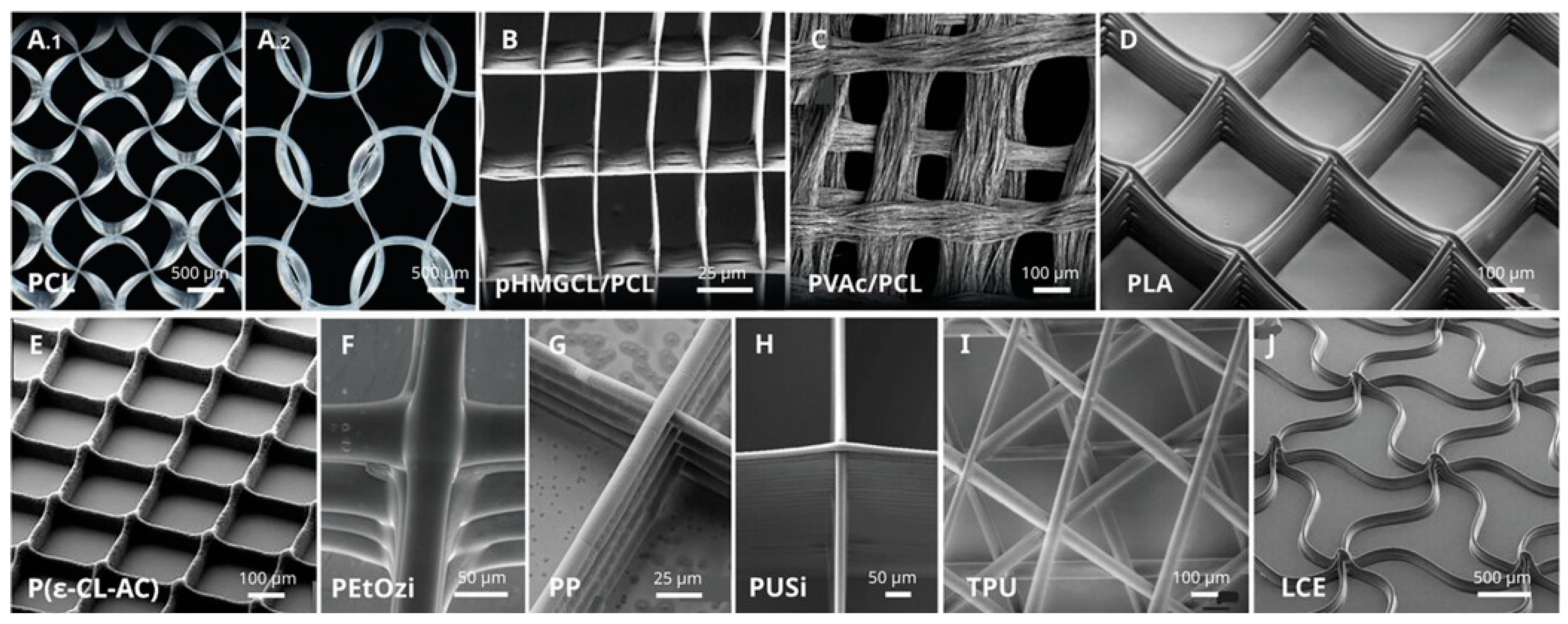 Micromachines 16 00226 g006