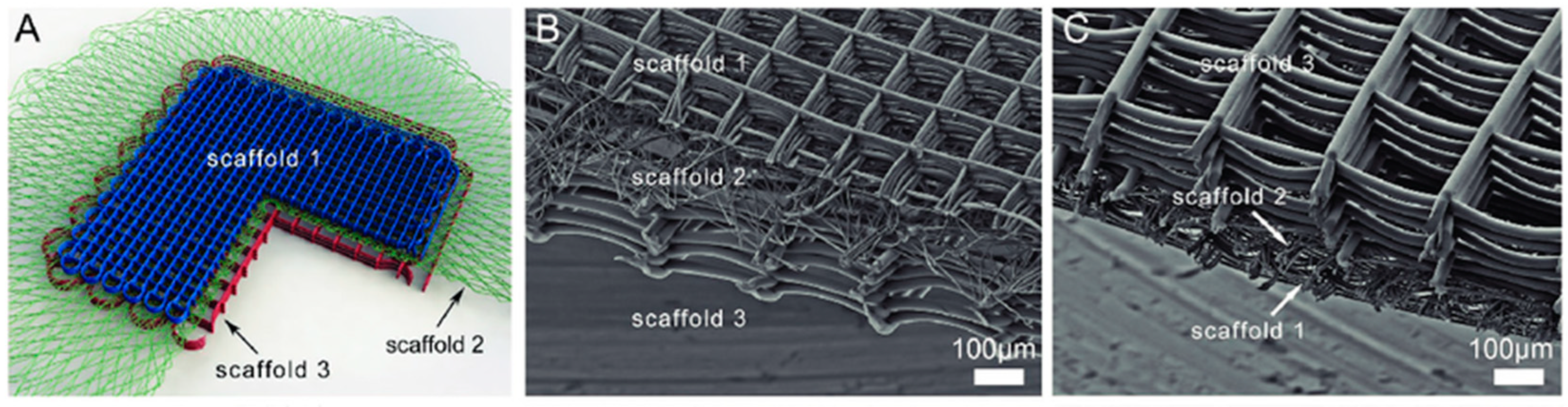 Micromachines 16 00226 g007