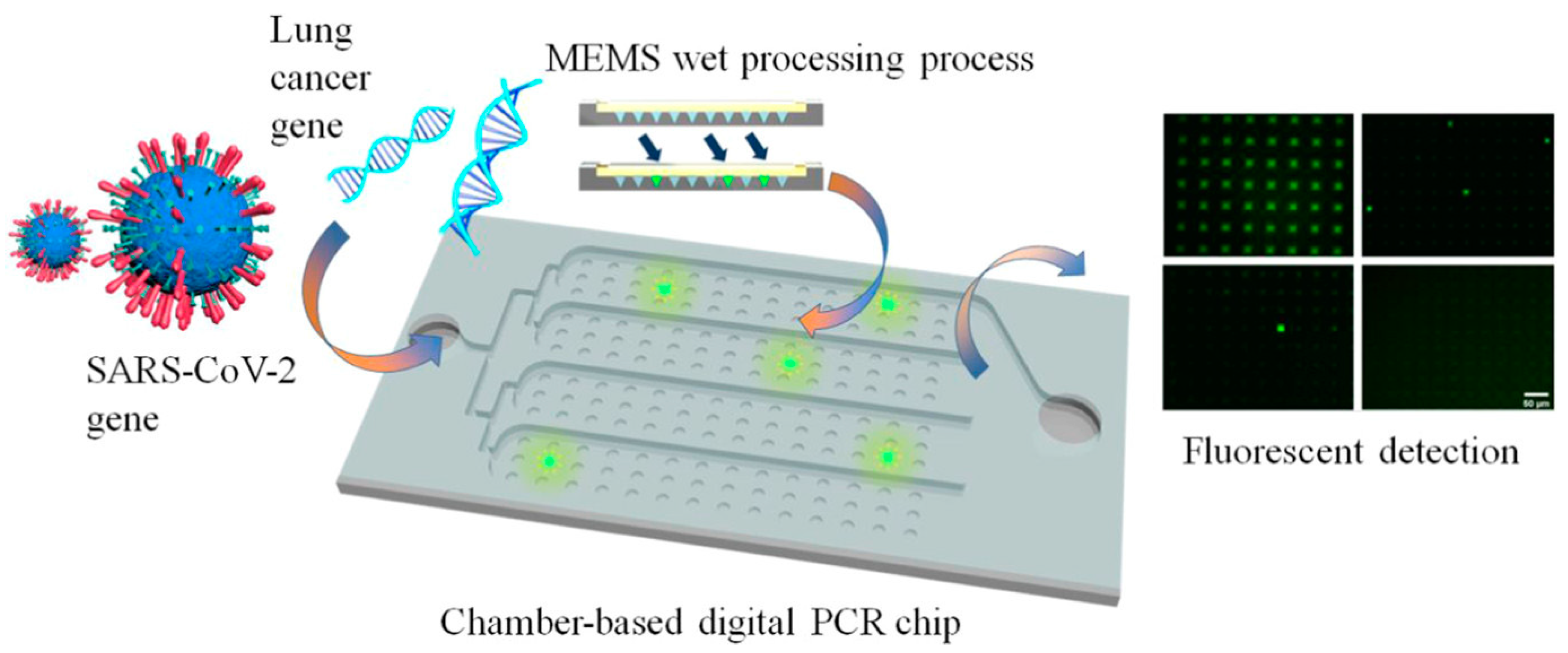 Micromachines 16 00243 g001