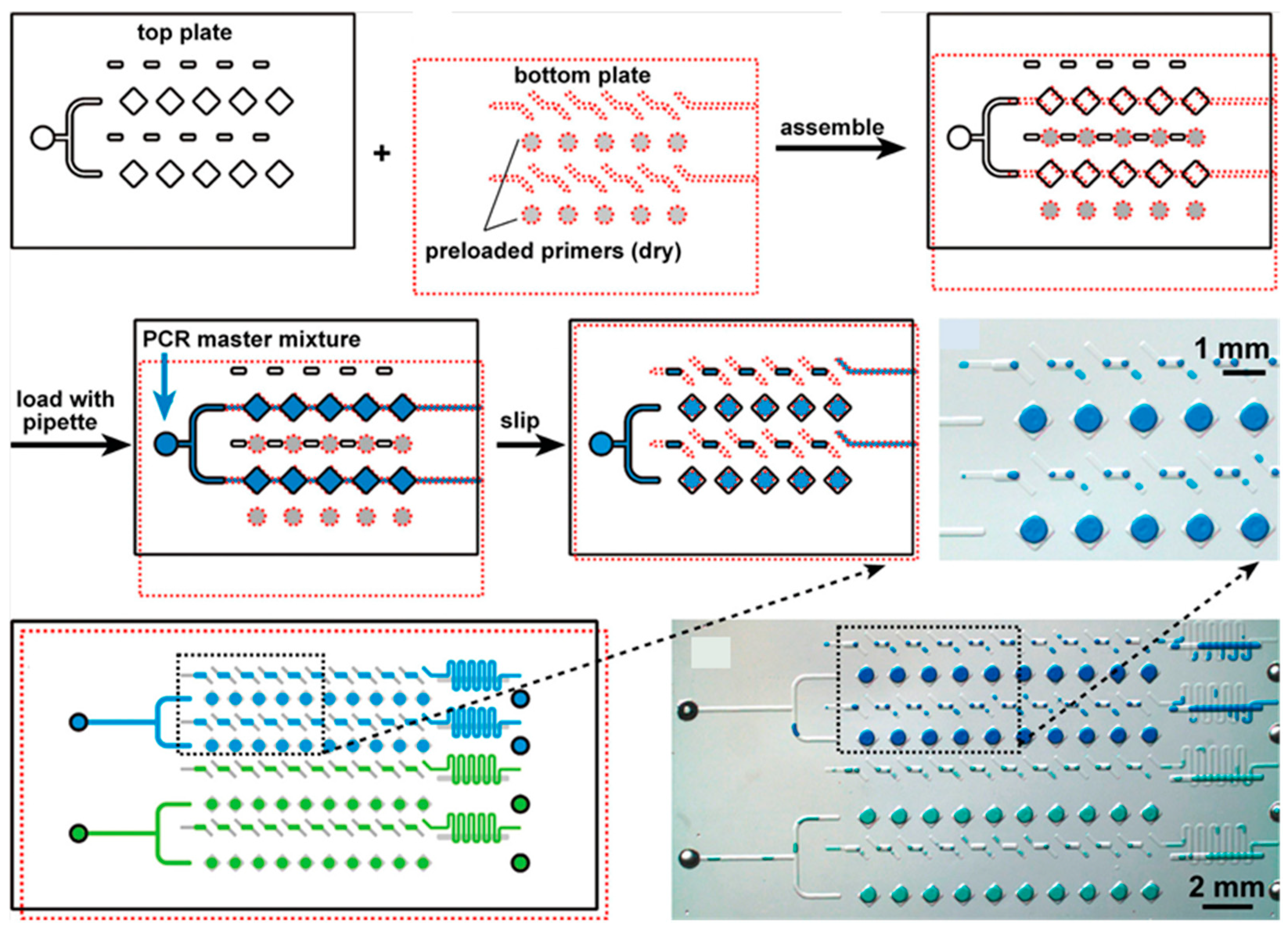 Micromachines 16 00243 g002