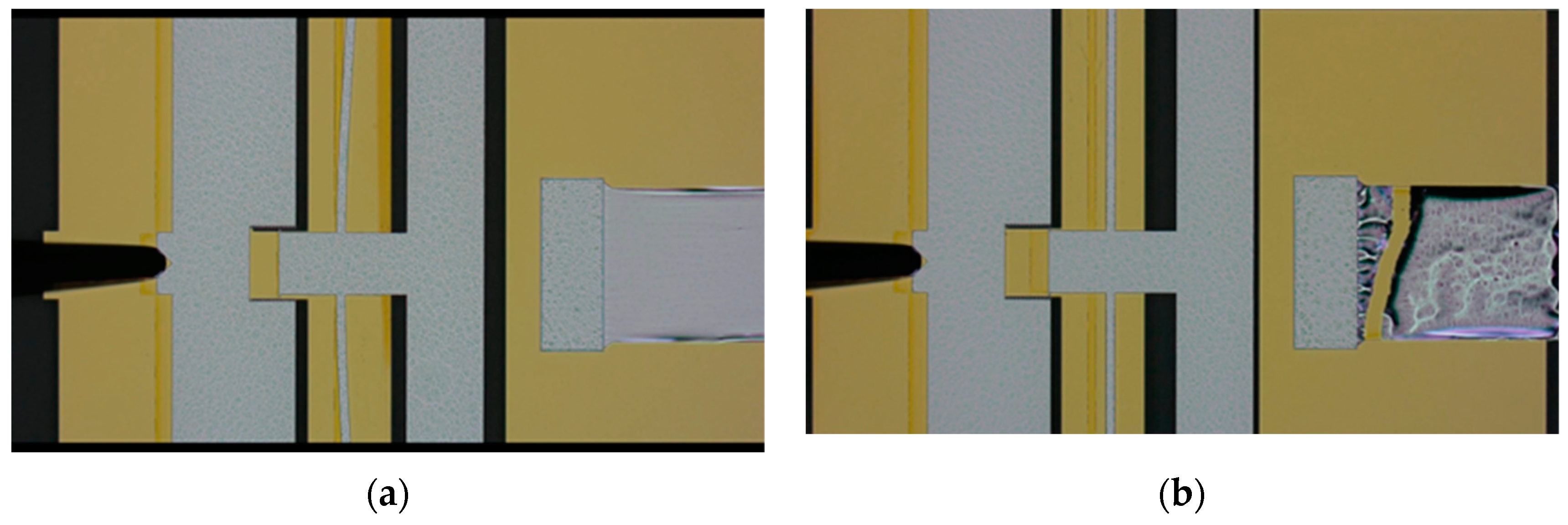 Micromachines 16 00262 g014