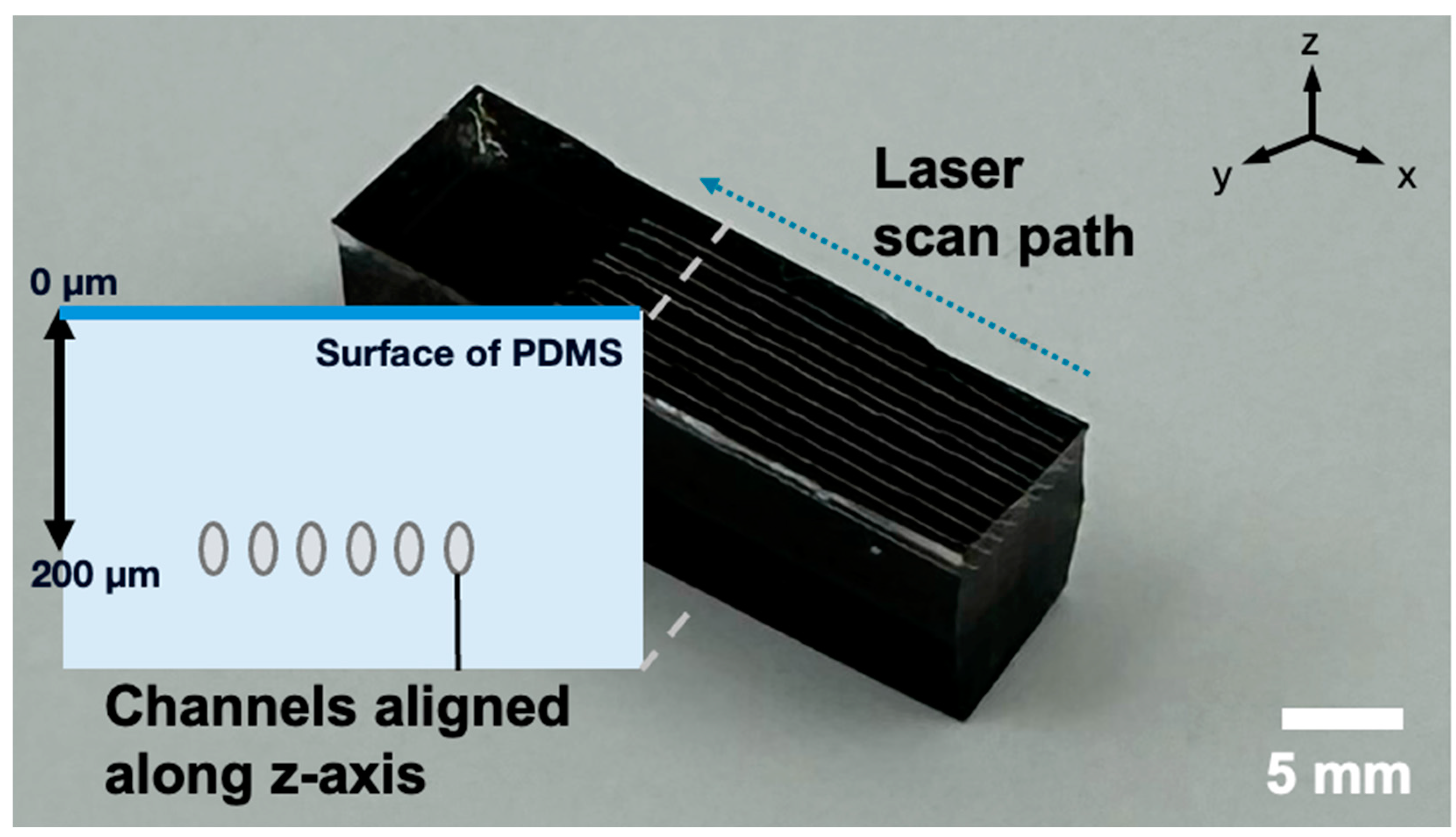 Micromachines 16 00282 g003