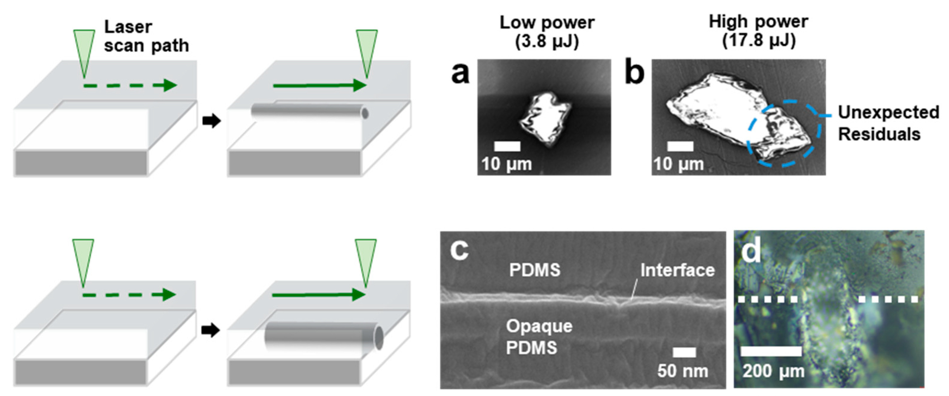 Micromachines 16 00282 g004