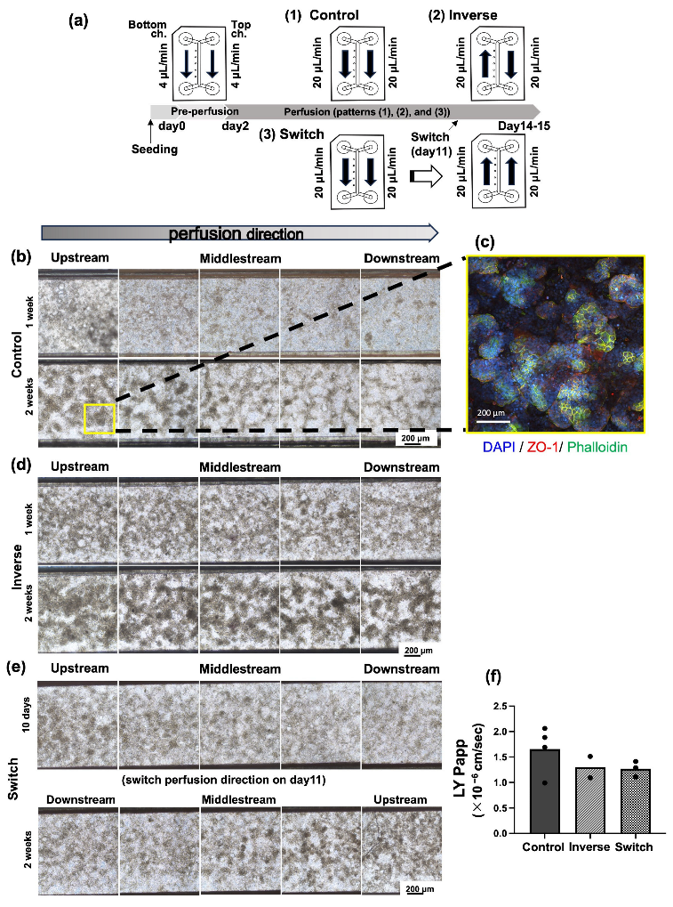 Micromachines 16 00327 g002