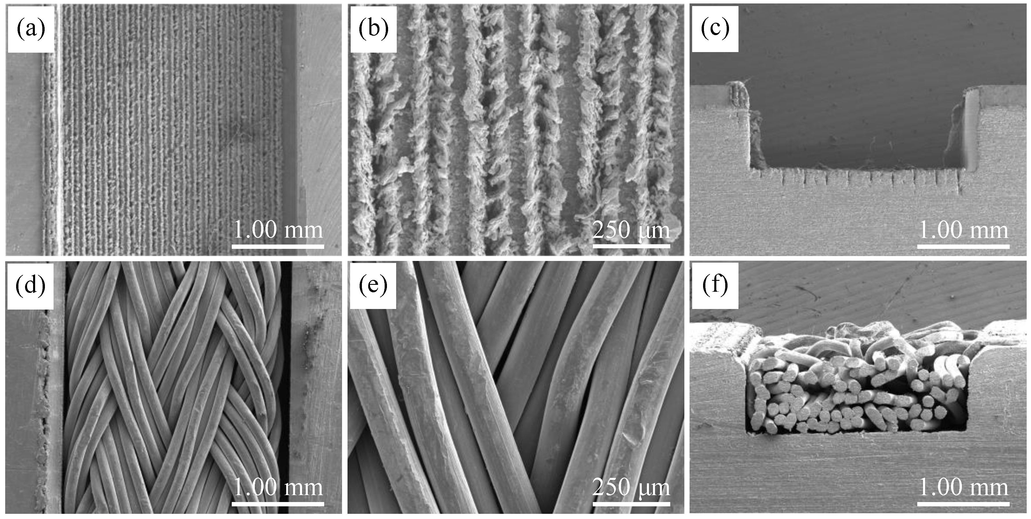 Micromachines 16 00370 g004