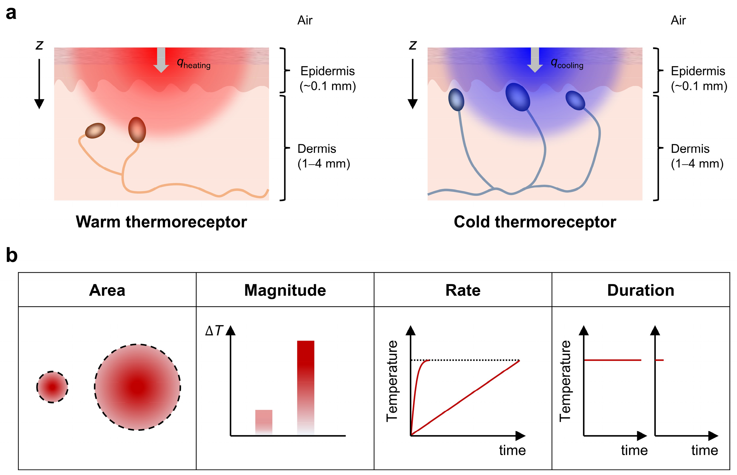 Micromachines 16 00383 g001