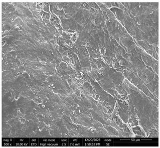 Micromachines 16 00393 i003