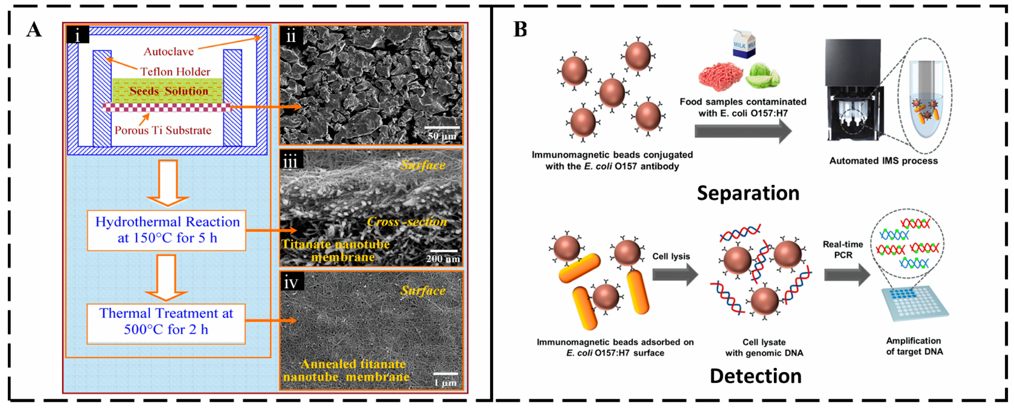 Micromachines 16 00462 g002