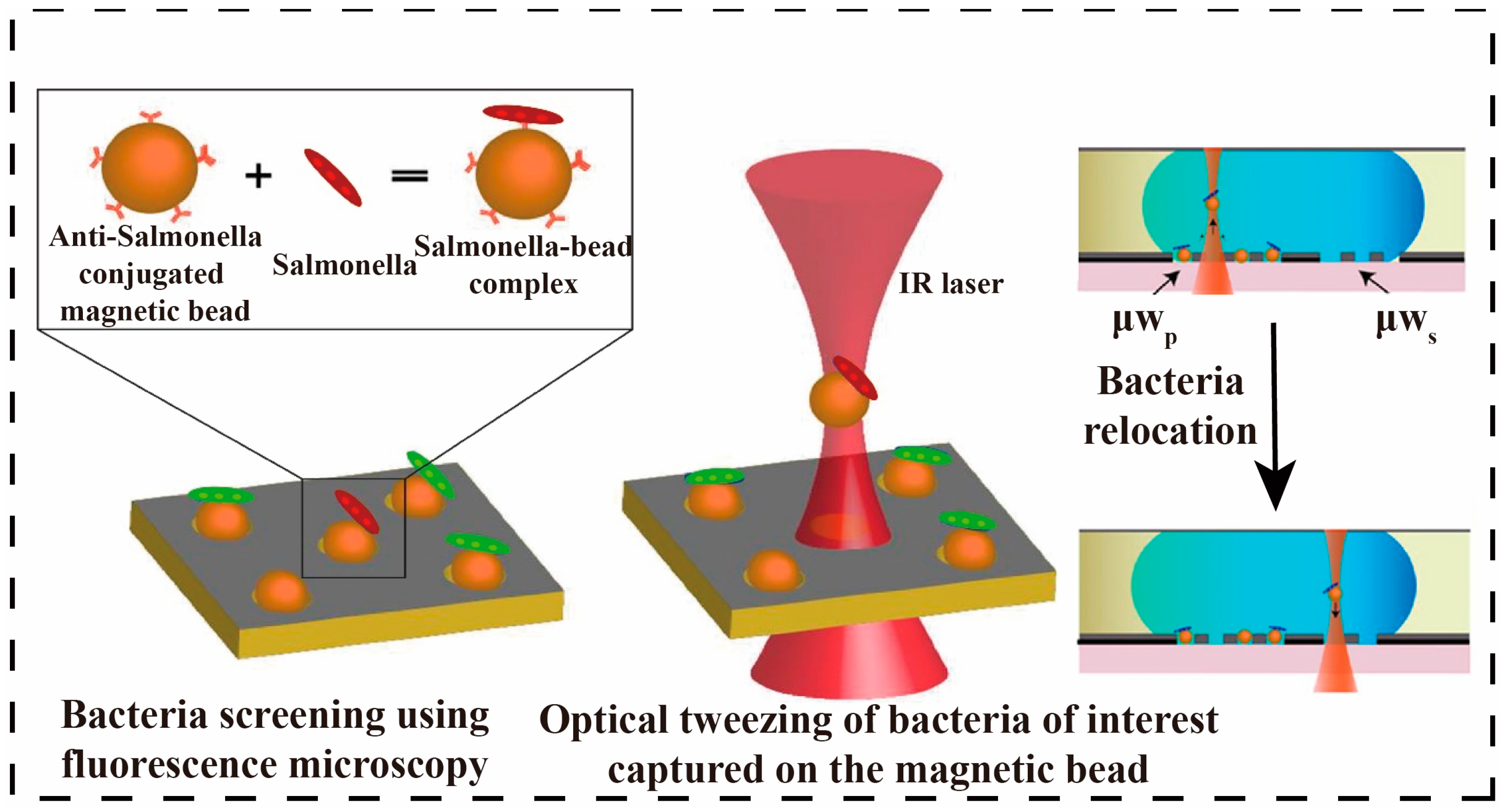 Micromachines 16 00462 g004