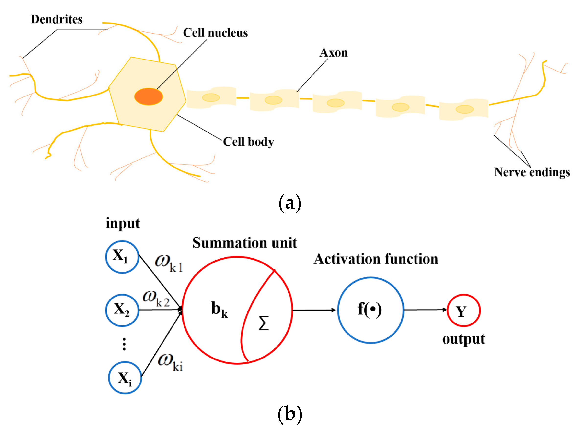 Micromachines 16 00481 g002