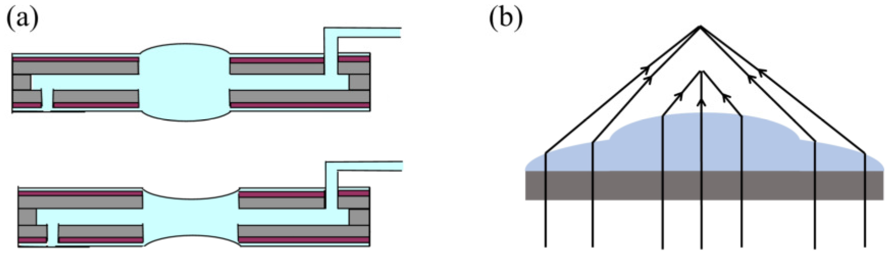 Micromachines 16 00482 g022