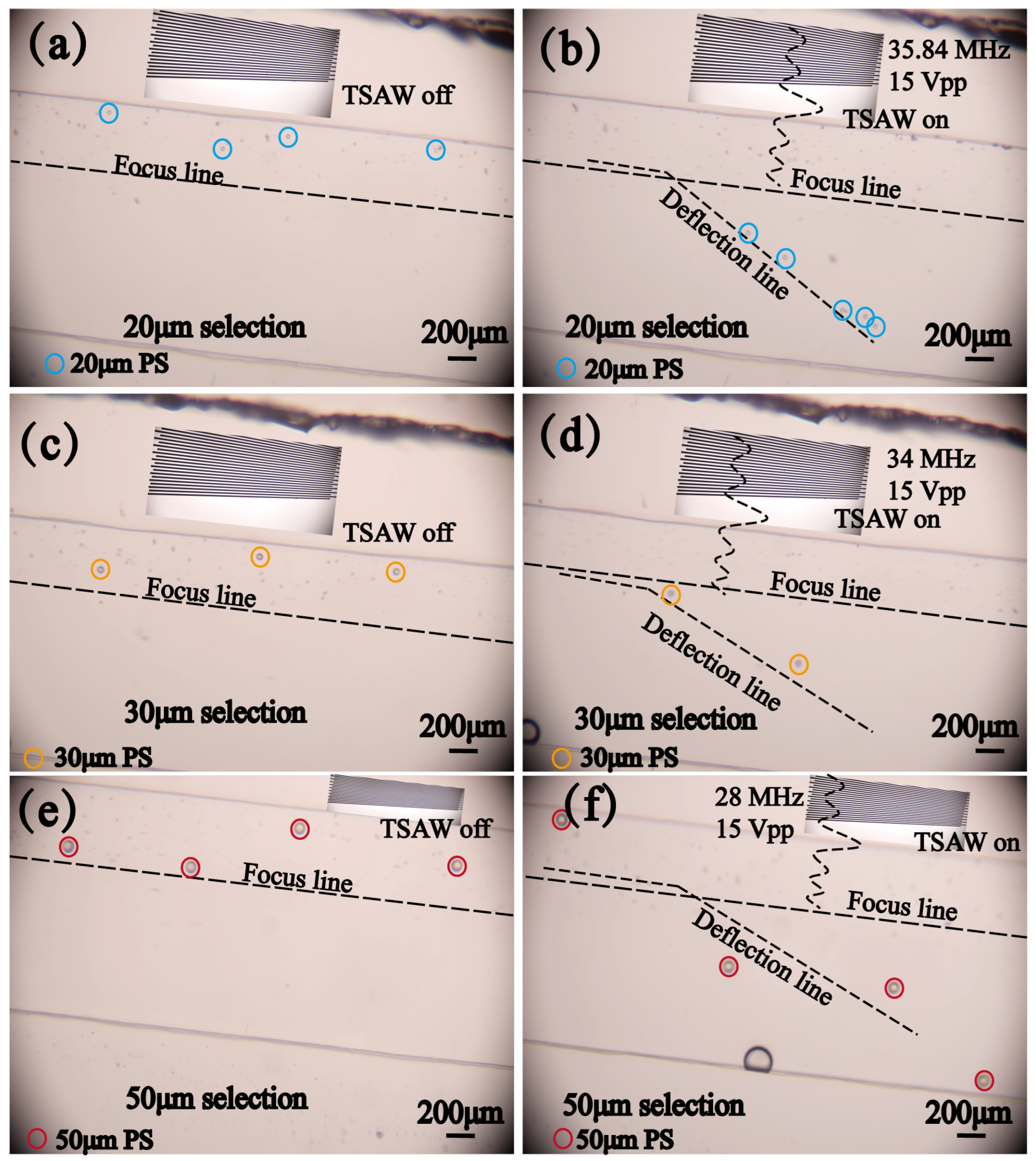 Micromachines 16 00483 g008