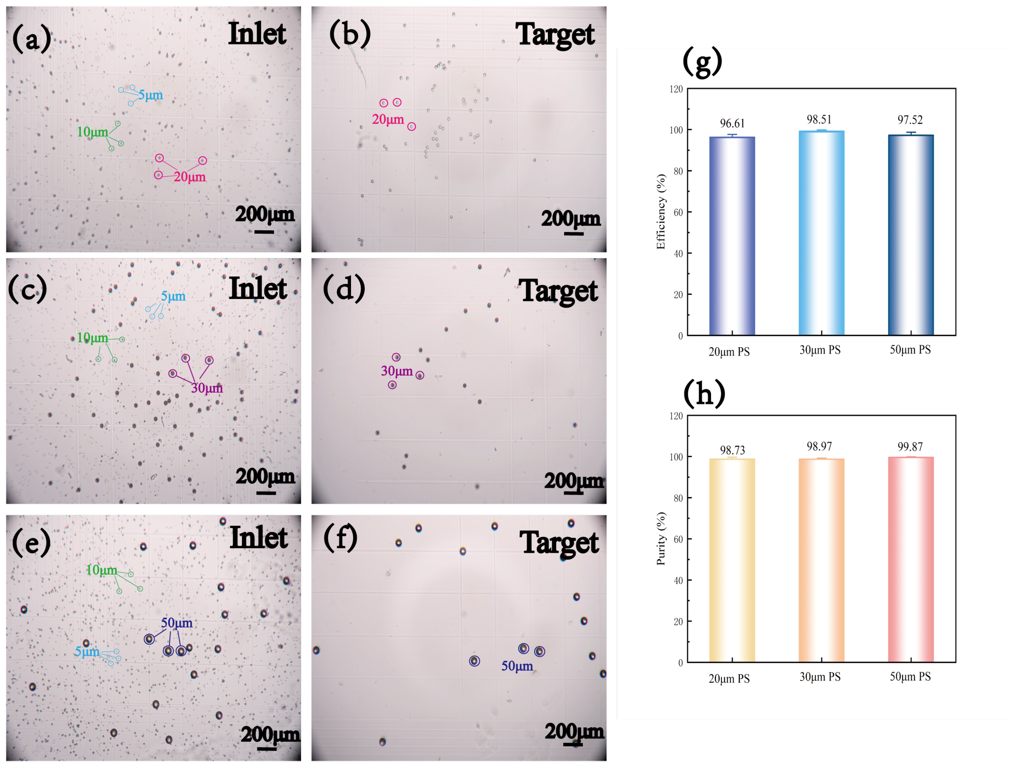 Micromachines 16 00483 g009