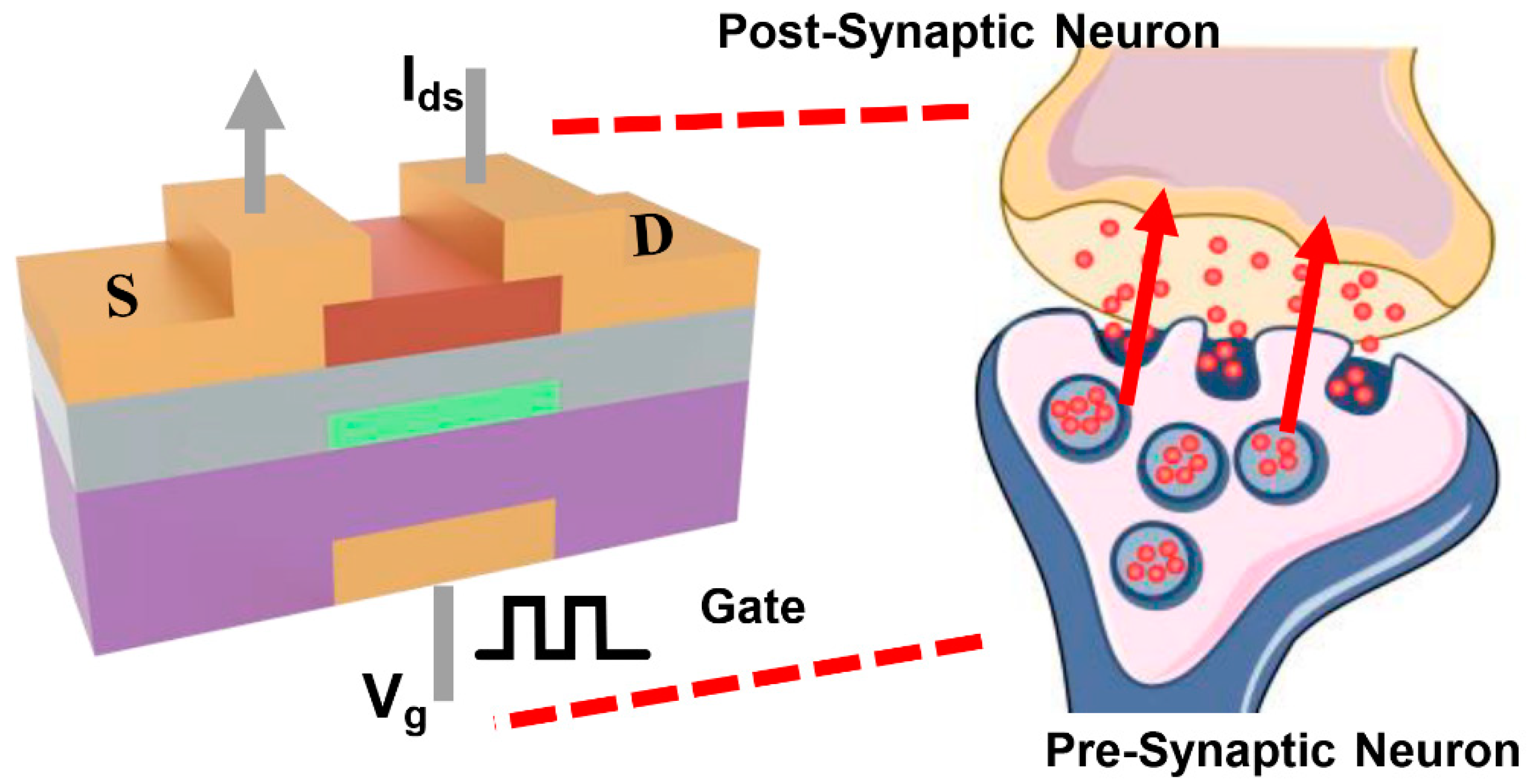 Micromachines 16 00517 g003