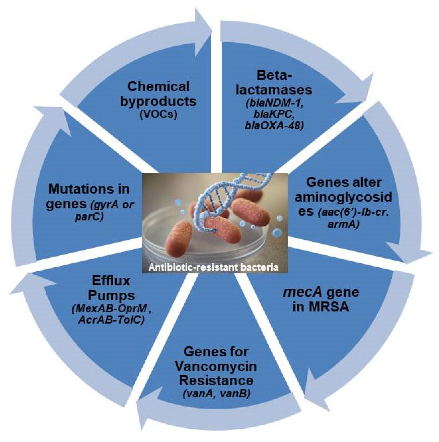 Micromachines 16 00986 g003 Micromachines 16 00986 g003