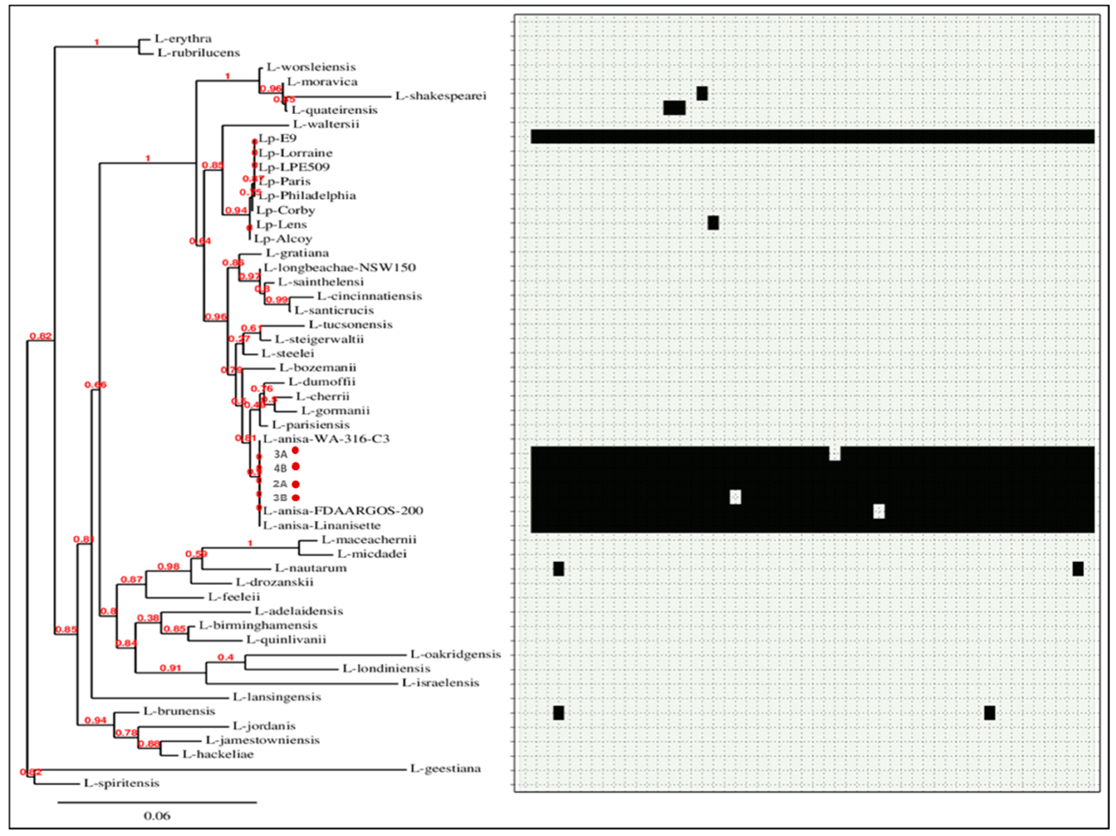 Microorganisms Free Full Text Detection Of Legionella