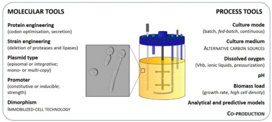 https://www.mdpi.com/microorganisms/microorganisms-07-00040/article_deploy/html/images/microorganisms-07-00040-g001-550.jpg