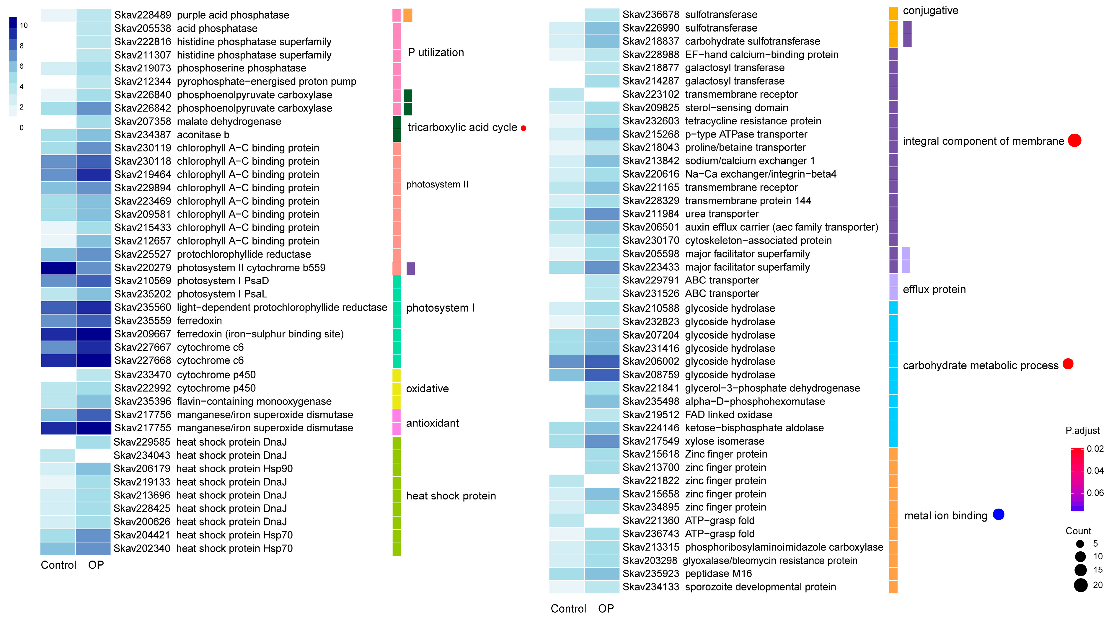 Microorganisms 07 00096 g004