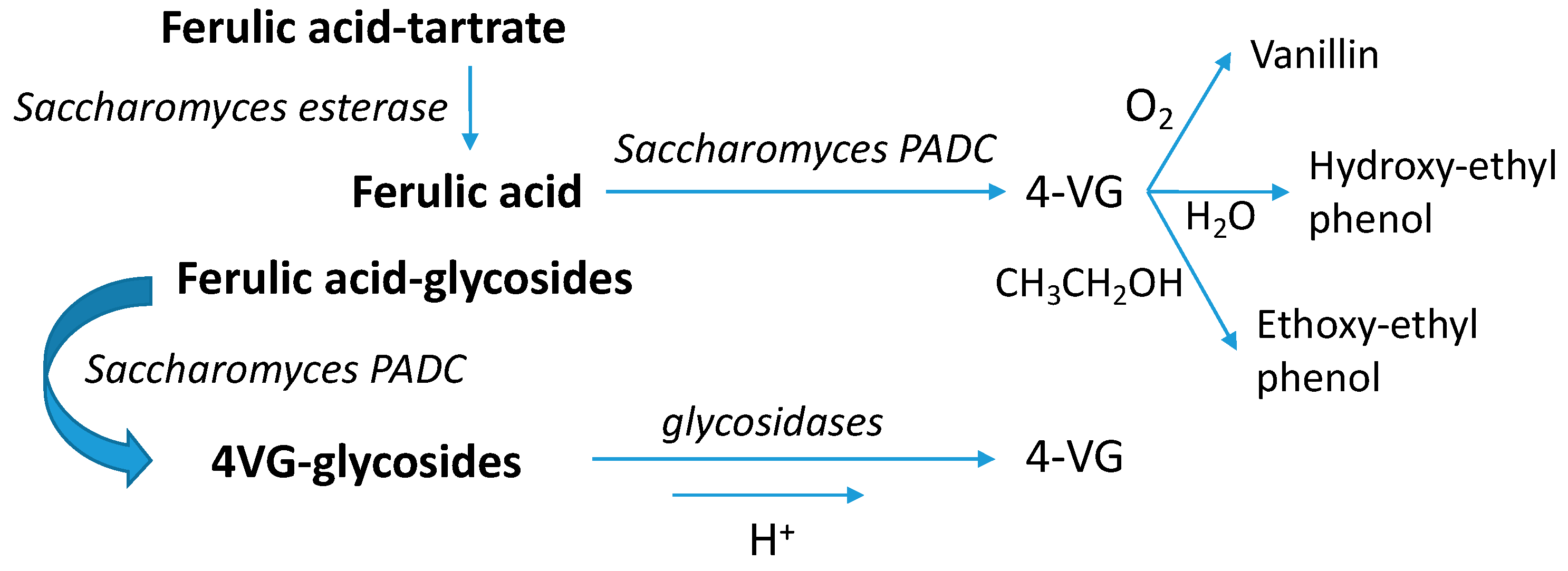 Microorganisms 07 00164 g011