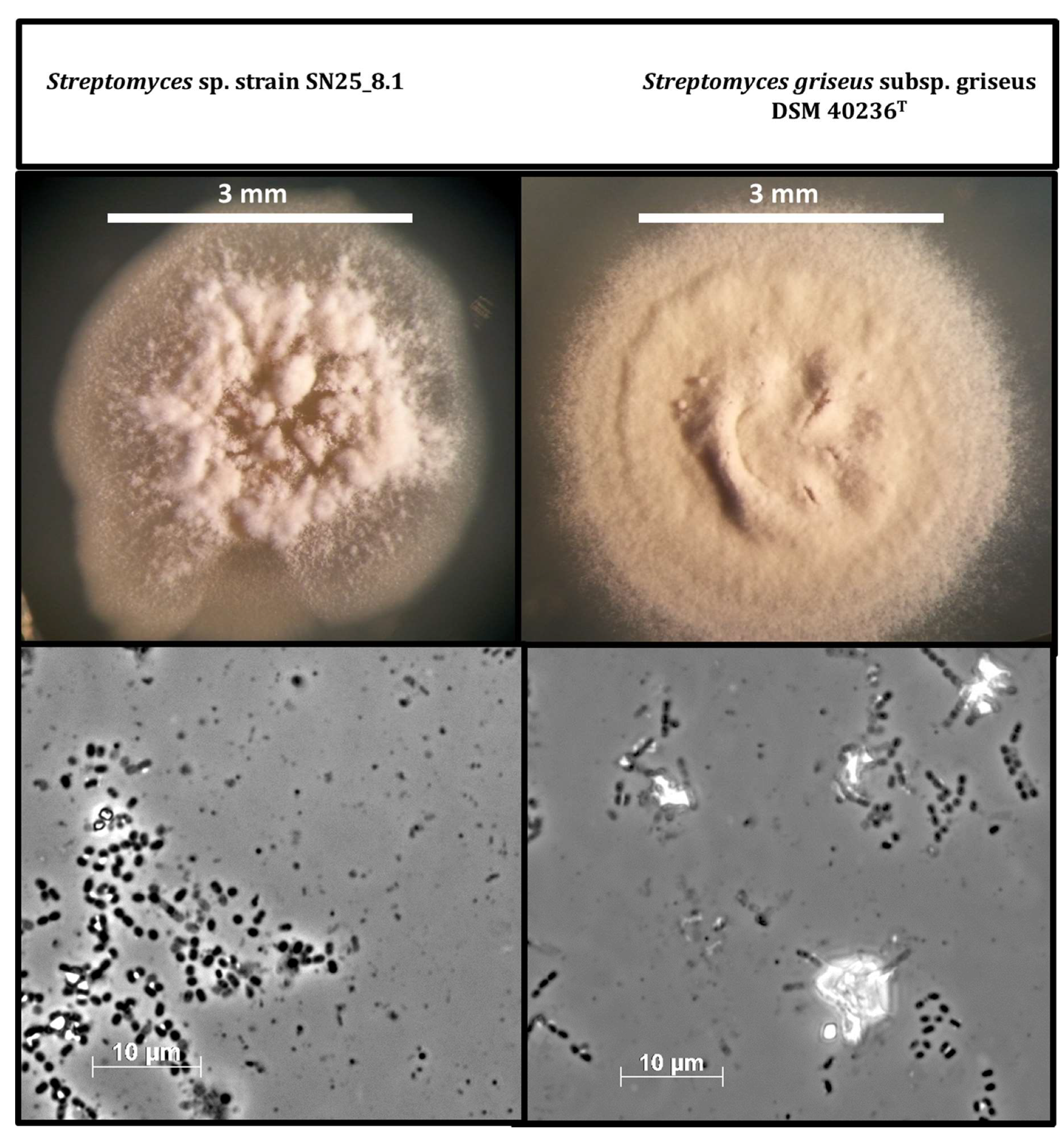 Microorganisms 07 00166 g002 Microorganisms 07 00166 g002