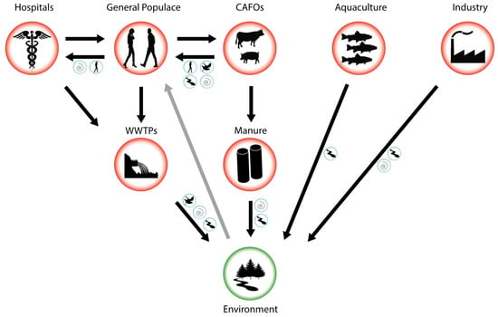 Microorganisms Free Full Text Antibiotic Pollution In The Environment From Microbial Ecology To Public Policy Html