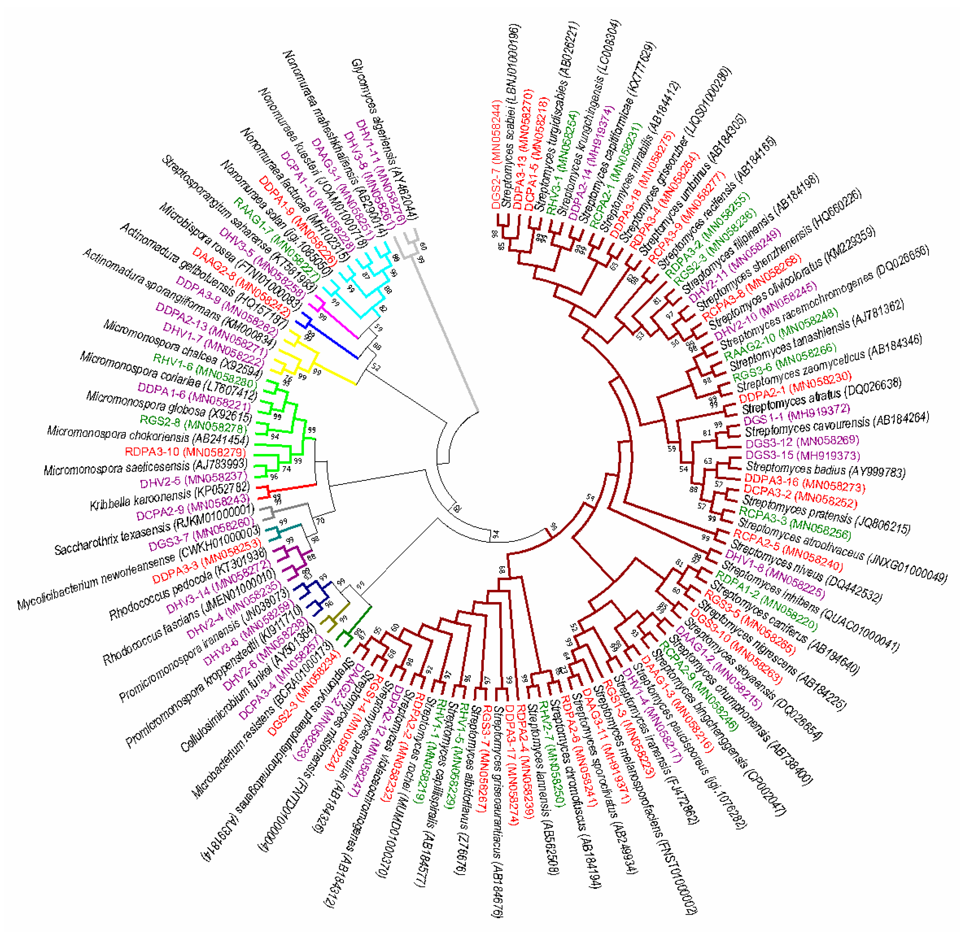 Microorganisms 07 00243 g001