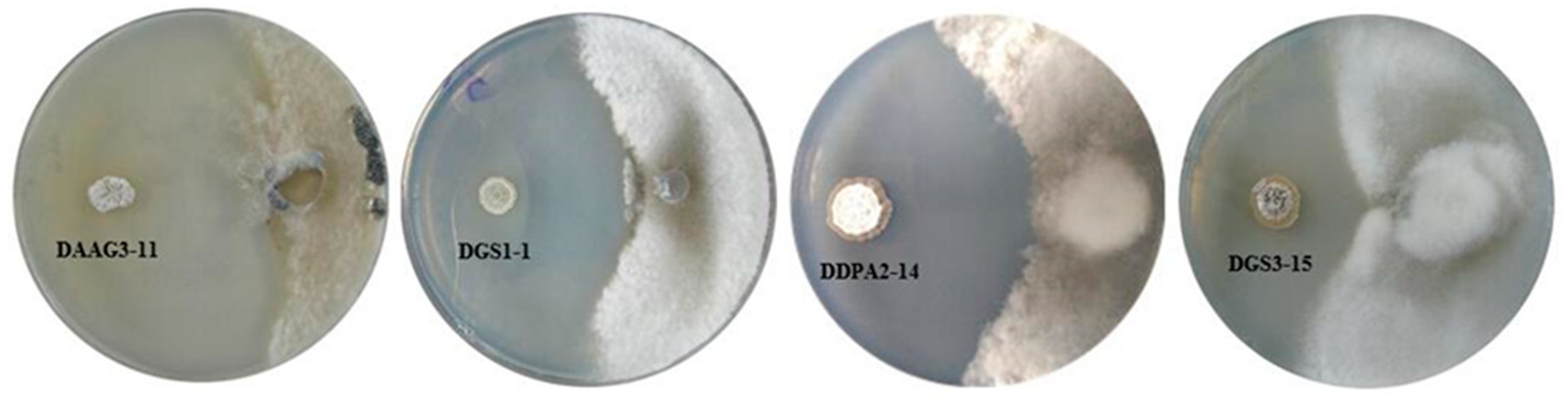Microorganisms 07 00243 g002