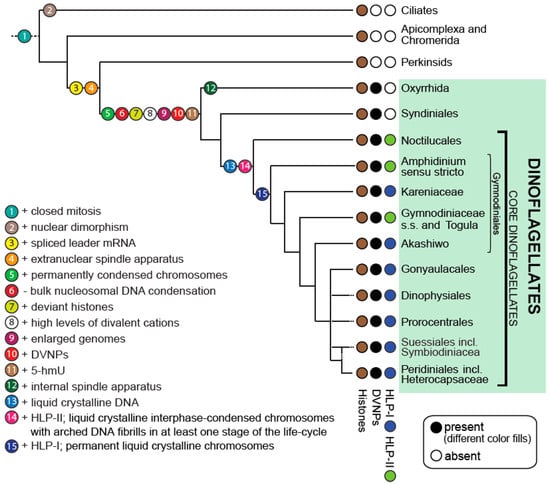 Microorganisms | Free Full-Text | The Biochemistry and Evolution