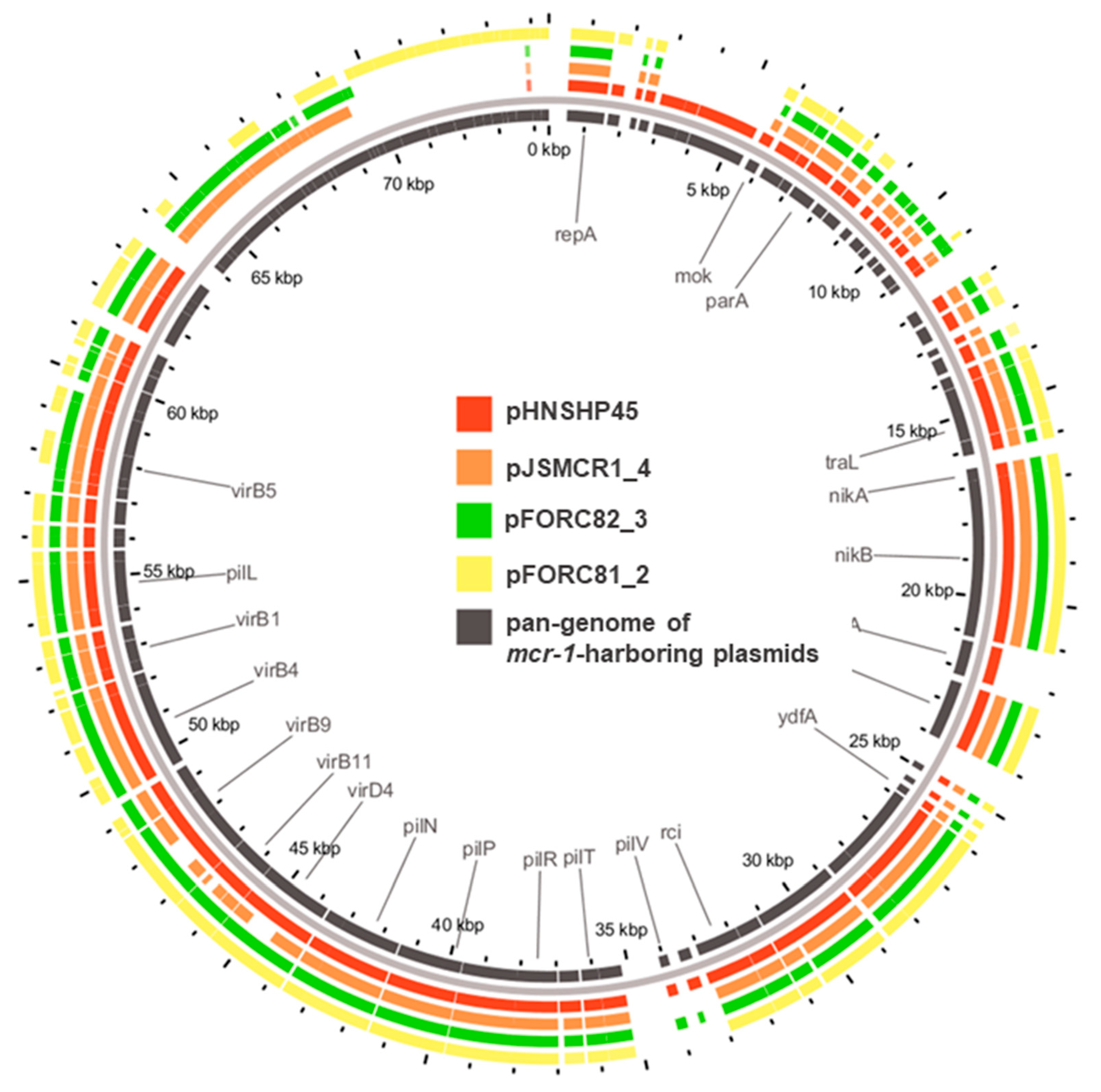 Frontiers  Genomic Characterization of mcr-1.1-Producing Escherichia coli  Recovered From Human Infections in São Paulo, Brazil