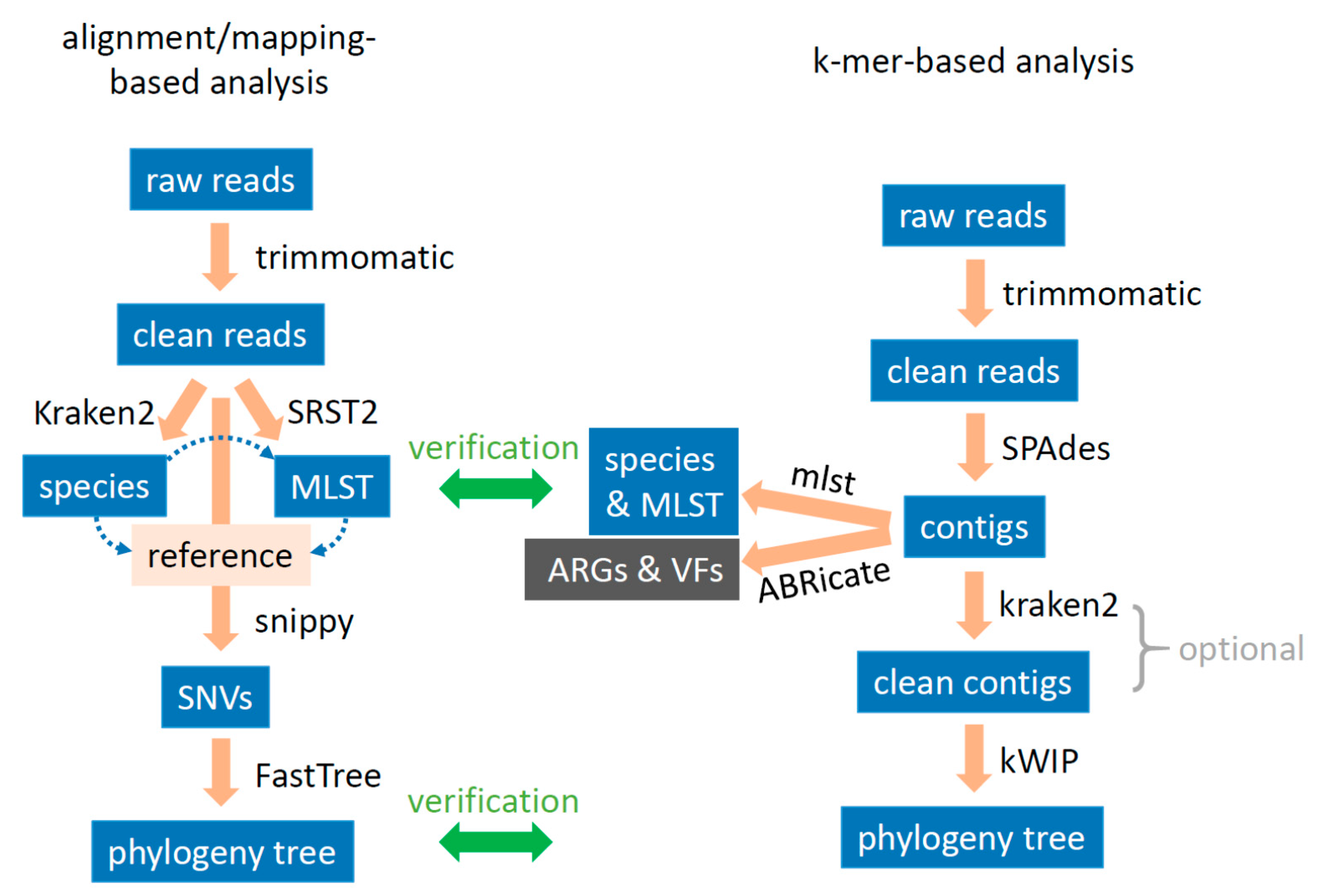 Microorganisms, Free Full-Text