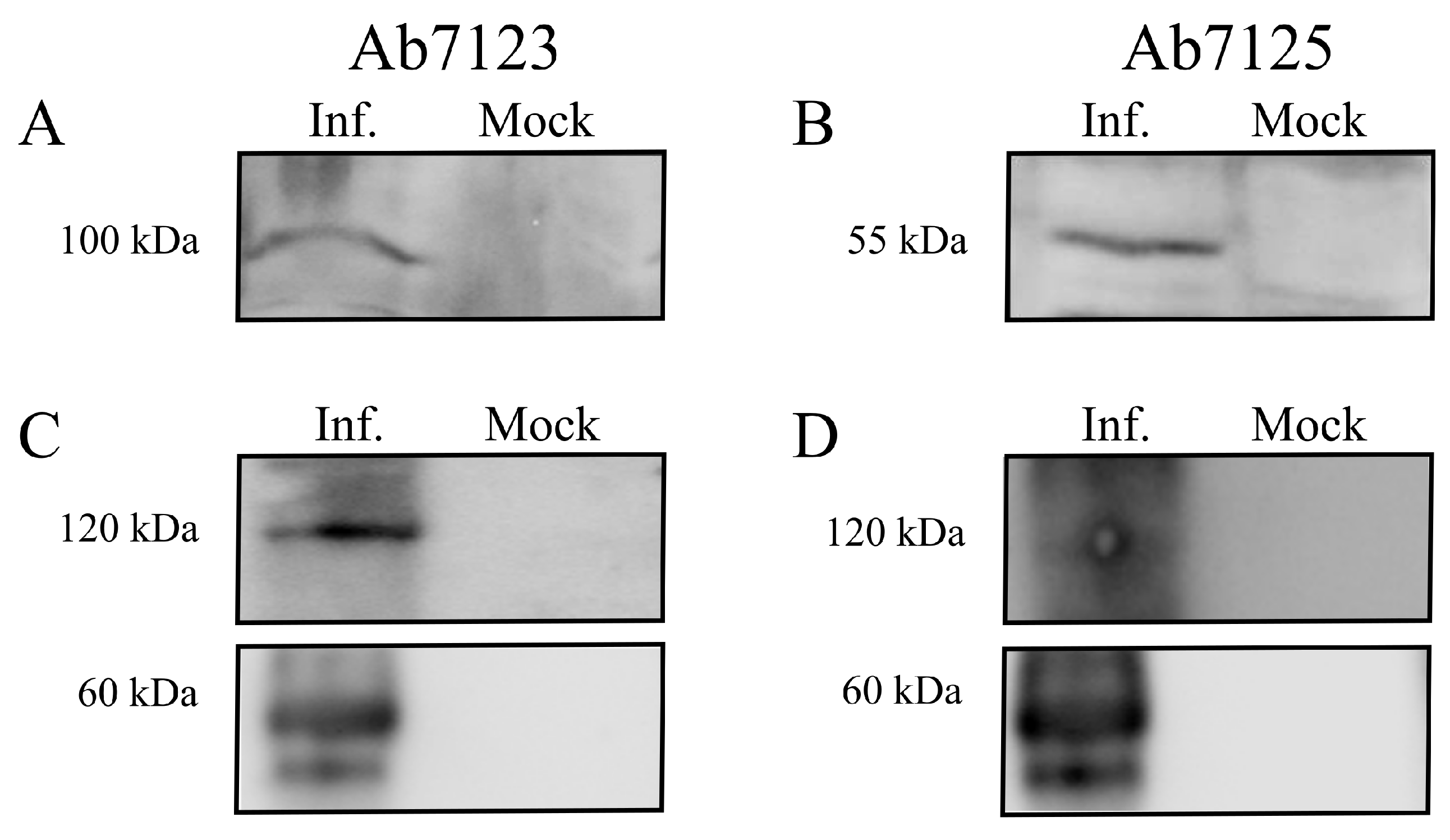 Microorganisms 07 00396 g003 Microorganisms 07 00396 g003