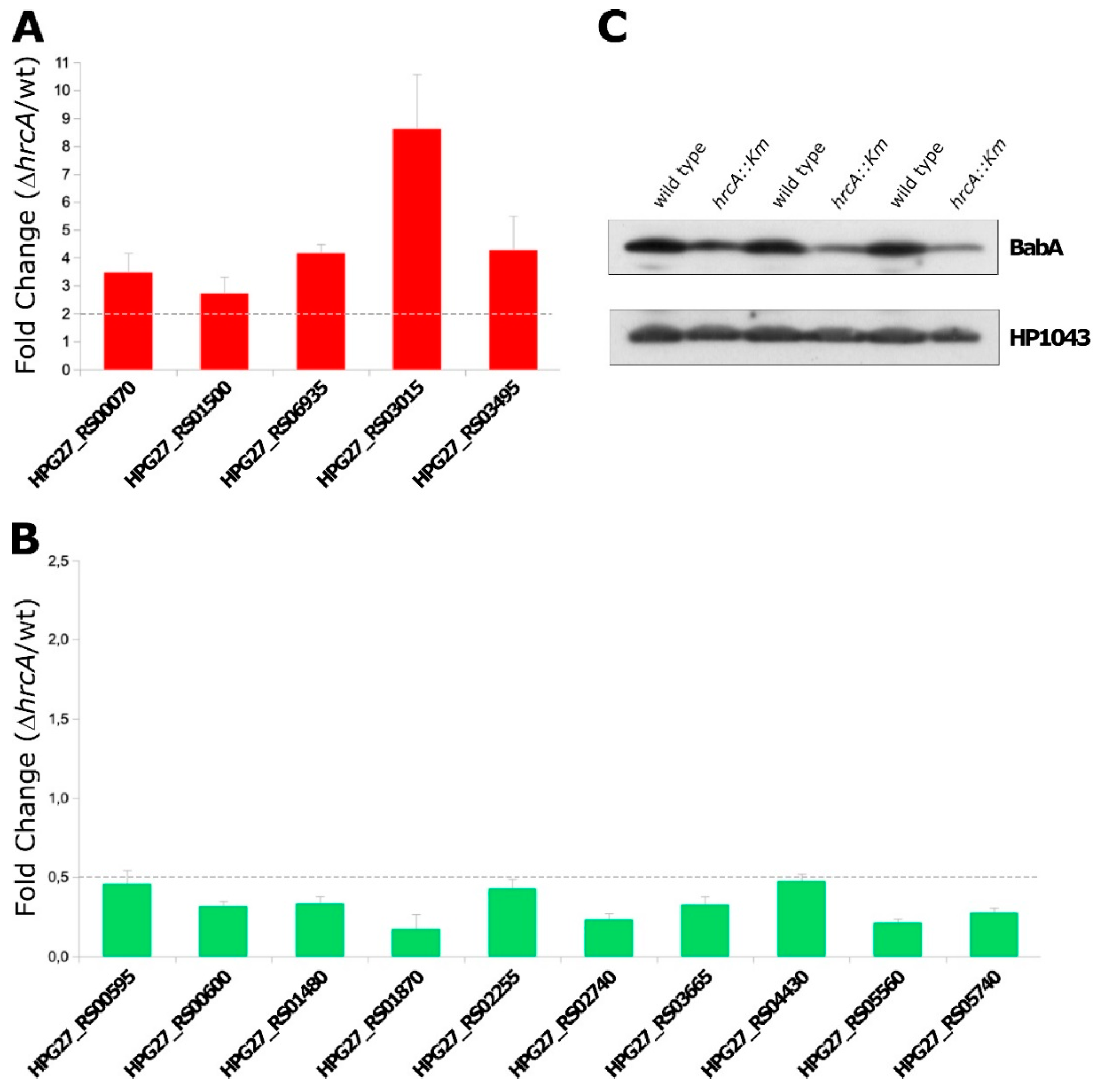 Microorganisms 07 00436 g003