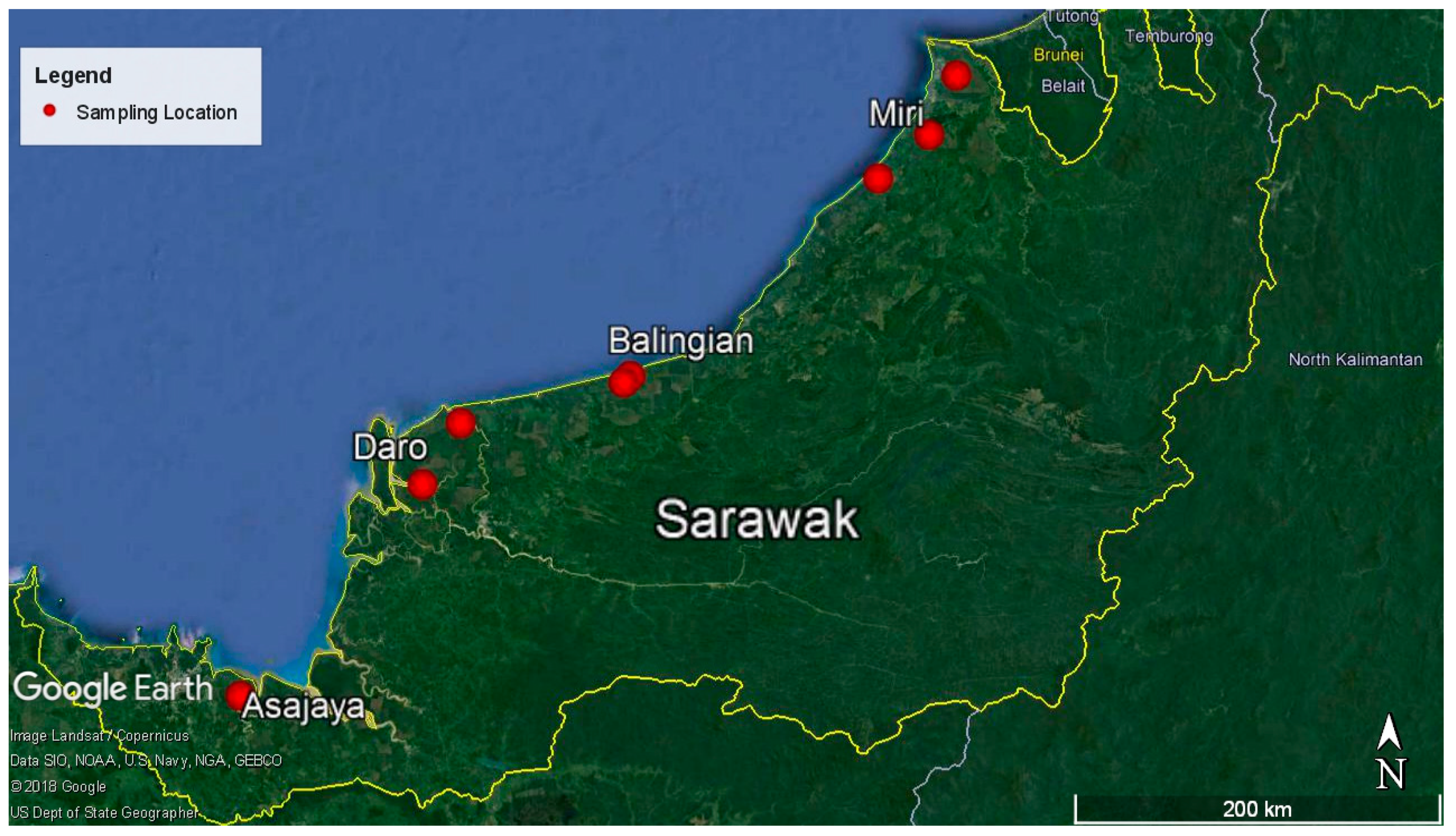 Microorganisms Free Full Text Genetic Diversity And Demographic History Of Ganoderma Boninense In Oil Palm Plantations Of Sarawak Malaysia Inferred From Its Regions