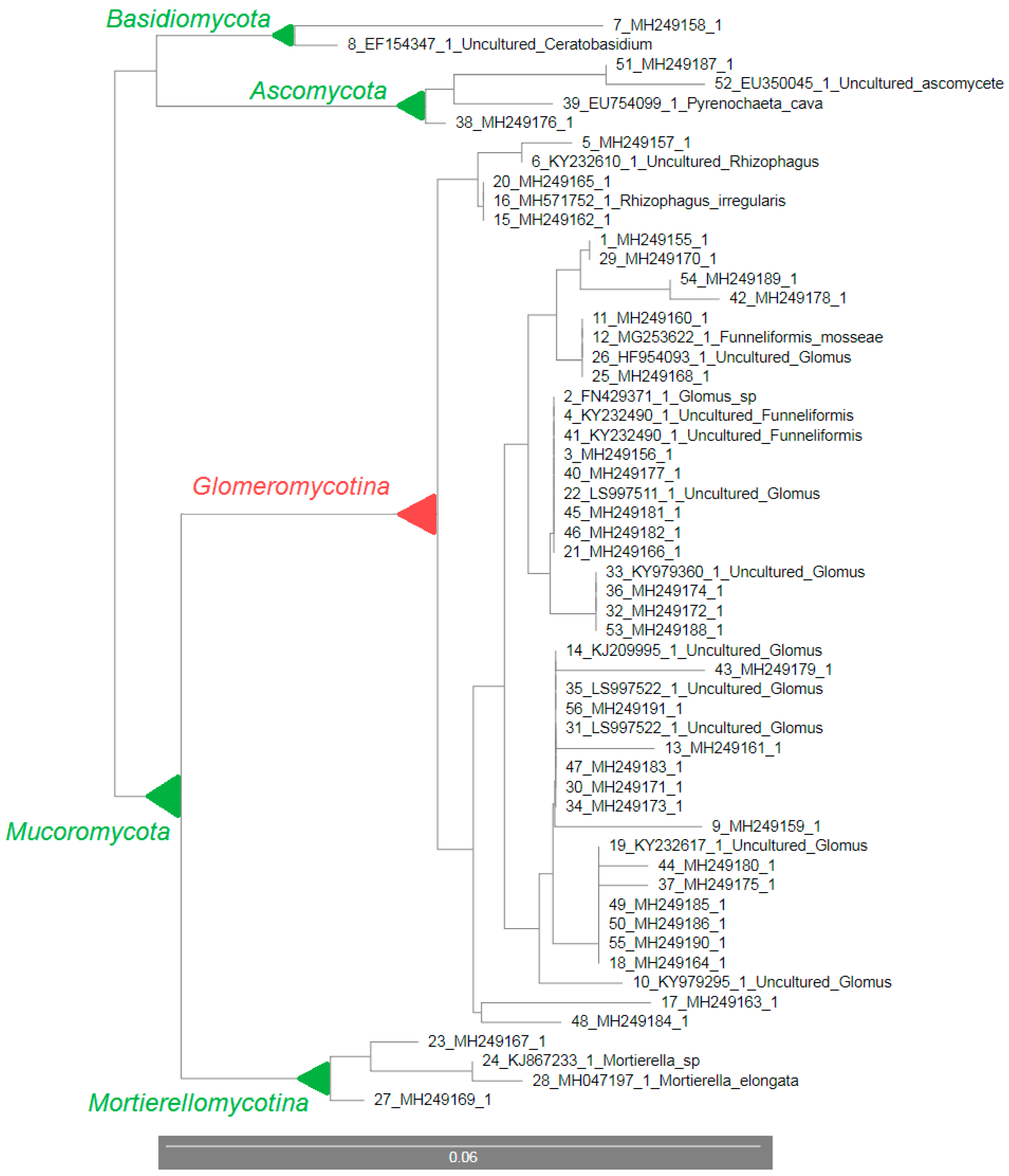 Microorganisms 07 00505 g004