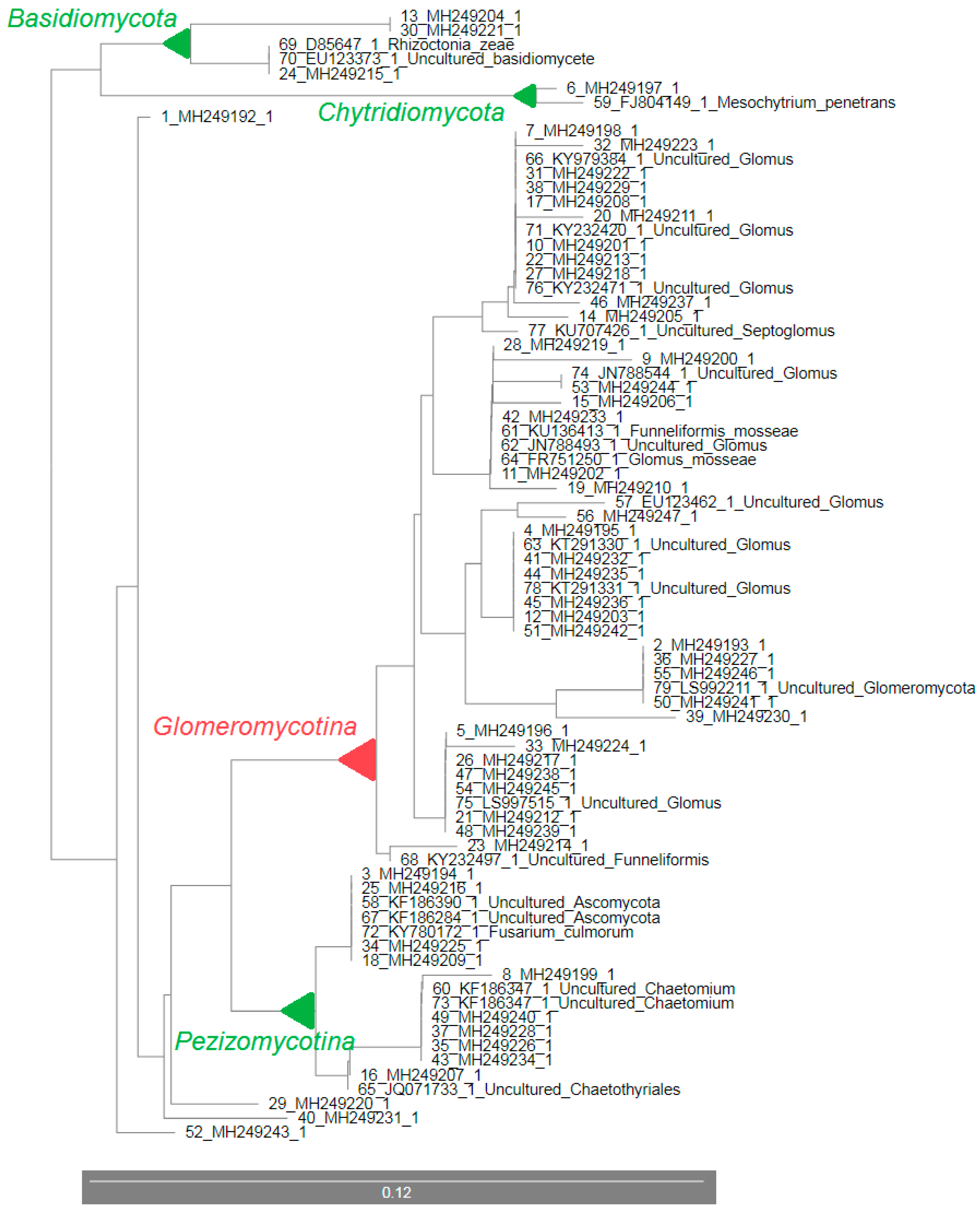 Microorganisms 07 00505 g005