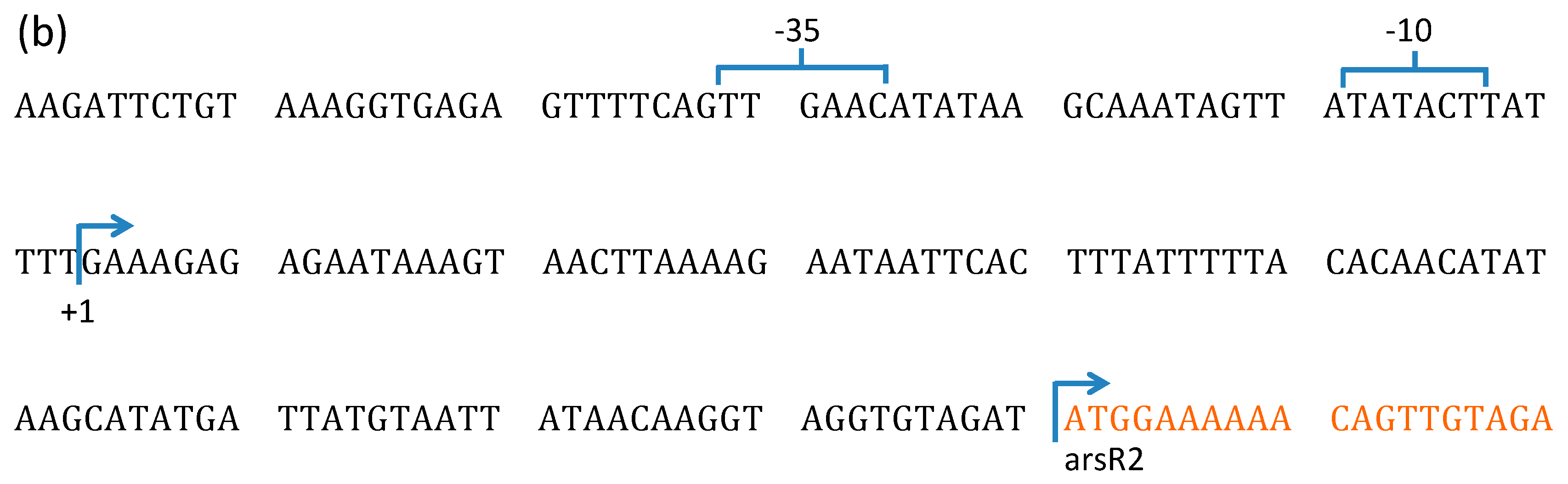 Microorganisms 07 00566 g002b