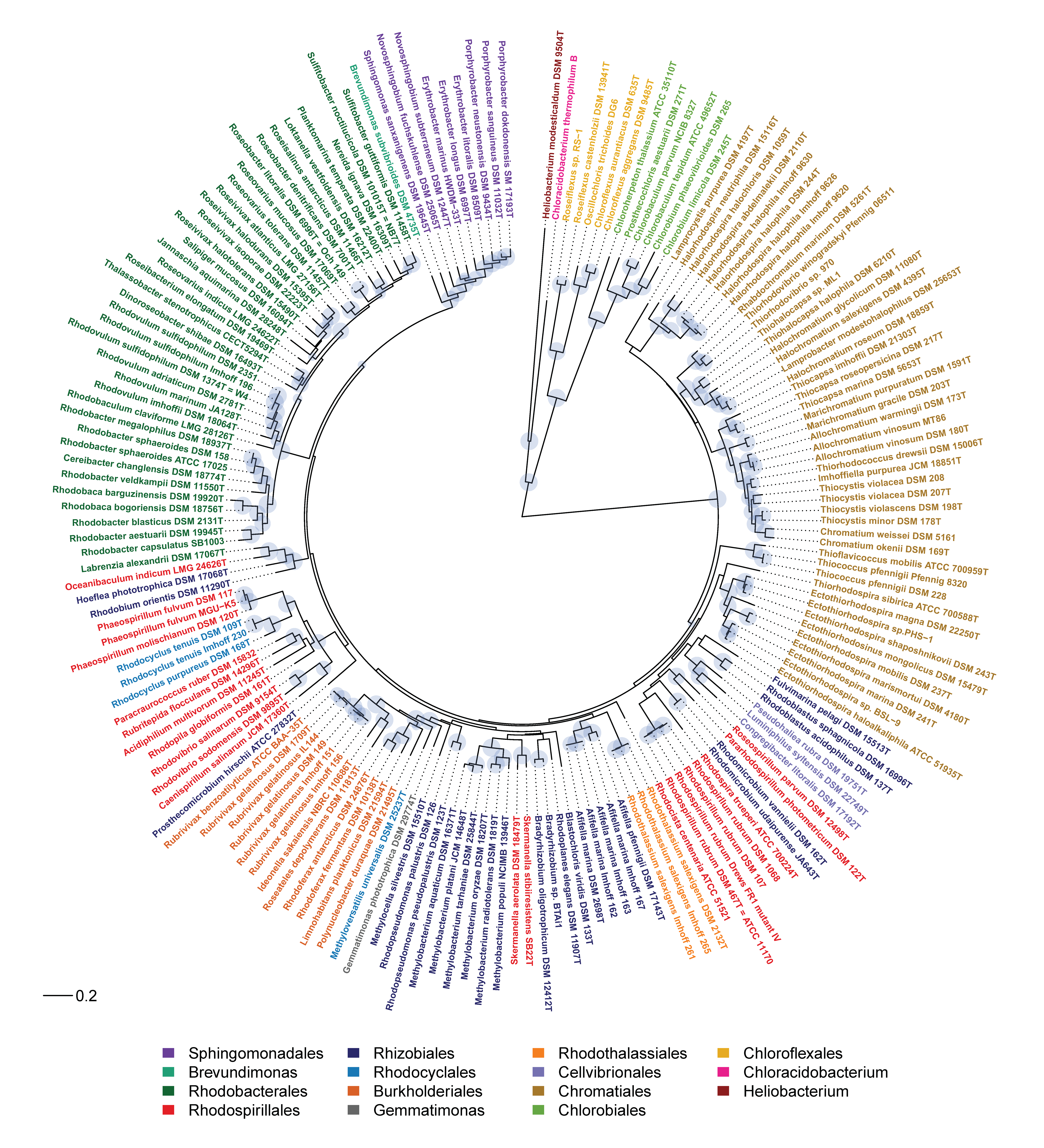 Microorganisms 07 00576 g002