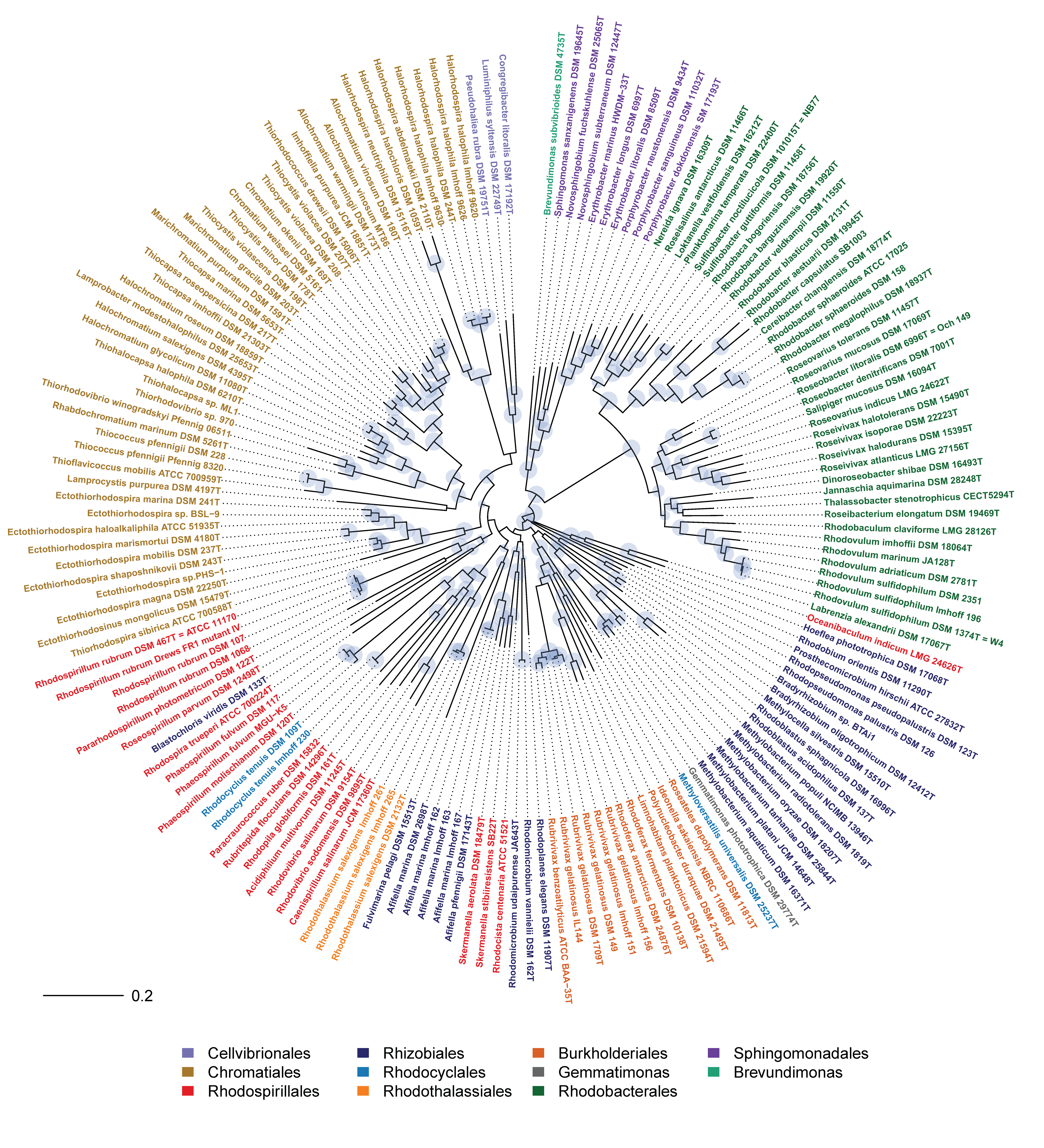 Microorganisms 07 00576 g003