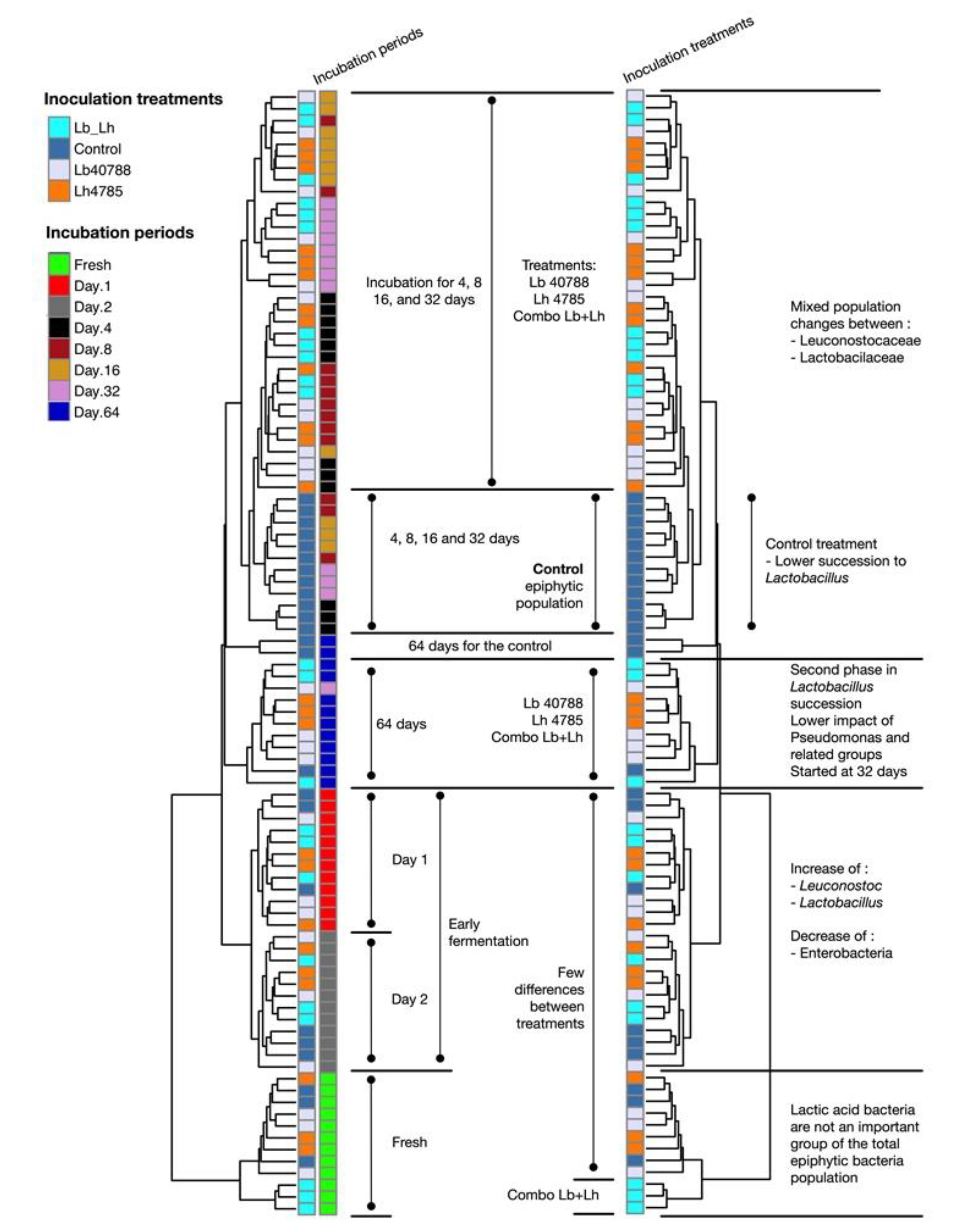 Microorganisms 07 00595 g002 Microorganisms 07 00595 g002