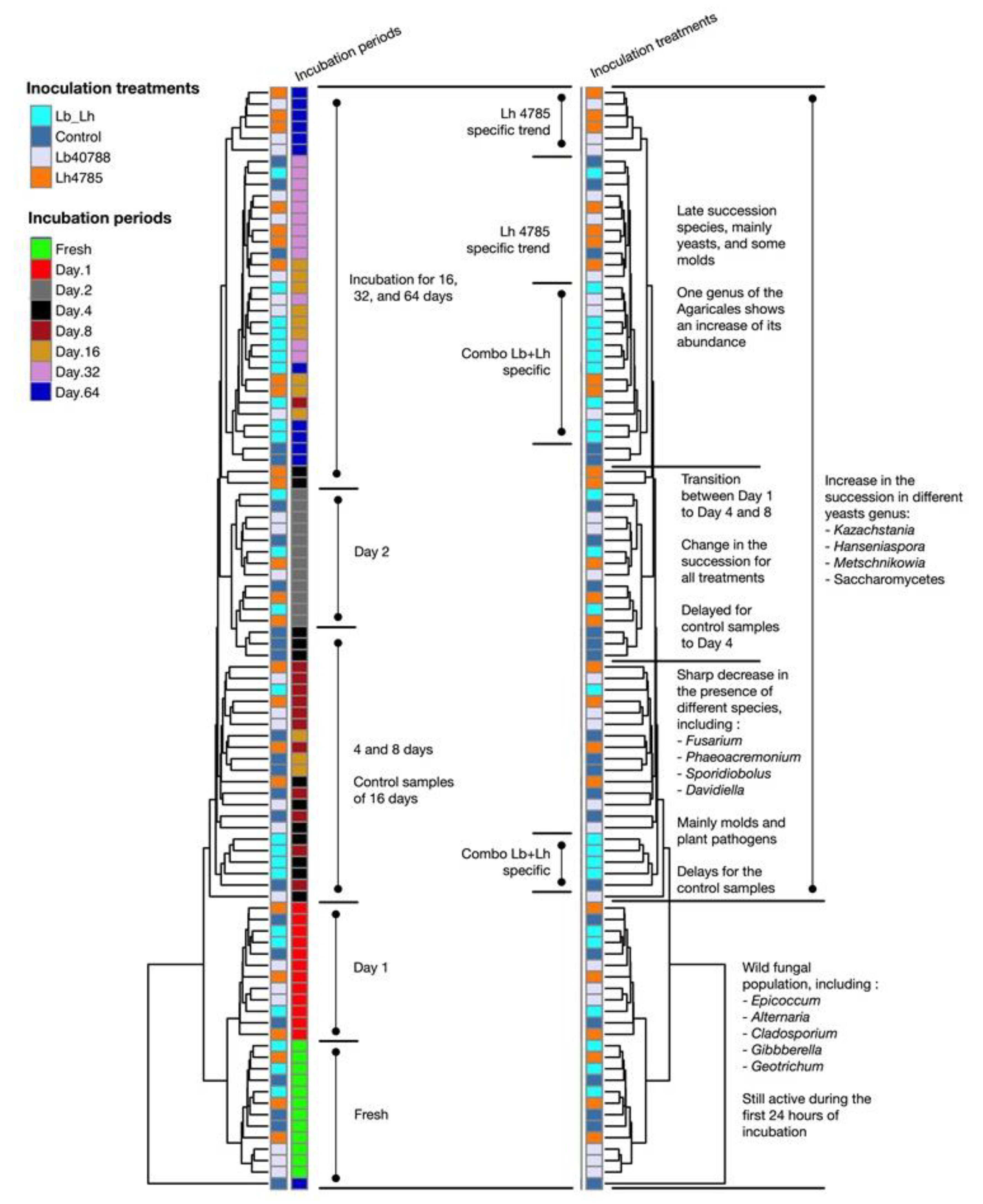 Microorganisms 07 00595 g005 Microorganisms 07 00595 g005