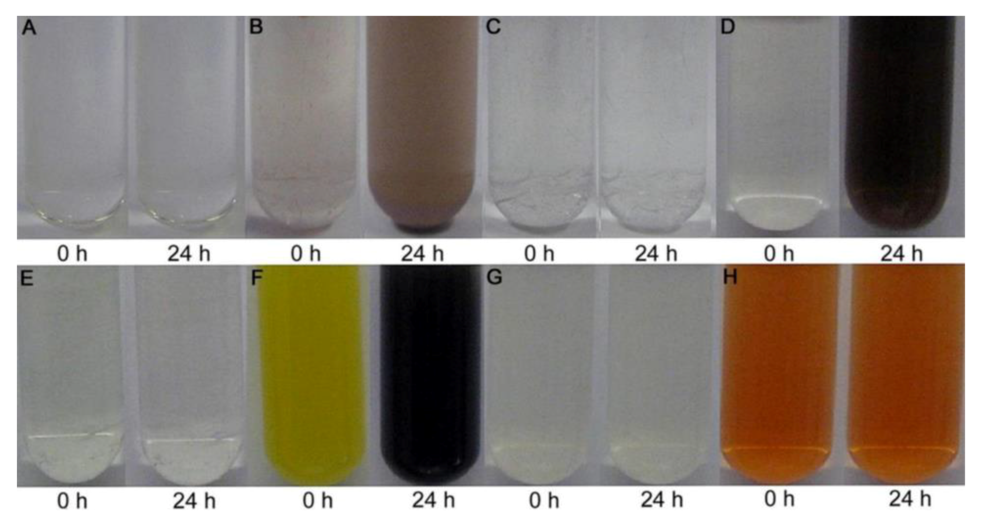 Microorganisms 07 00601 g005