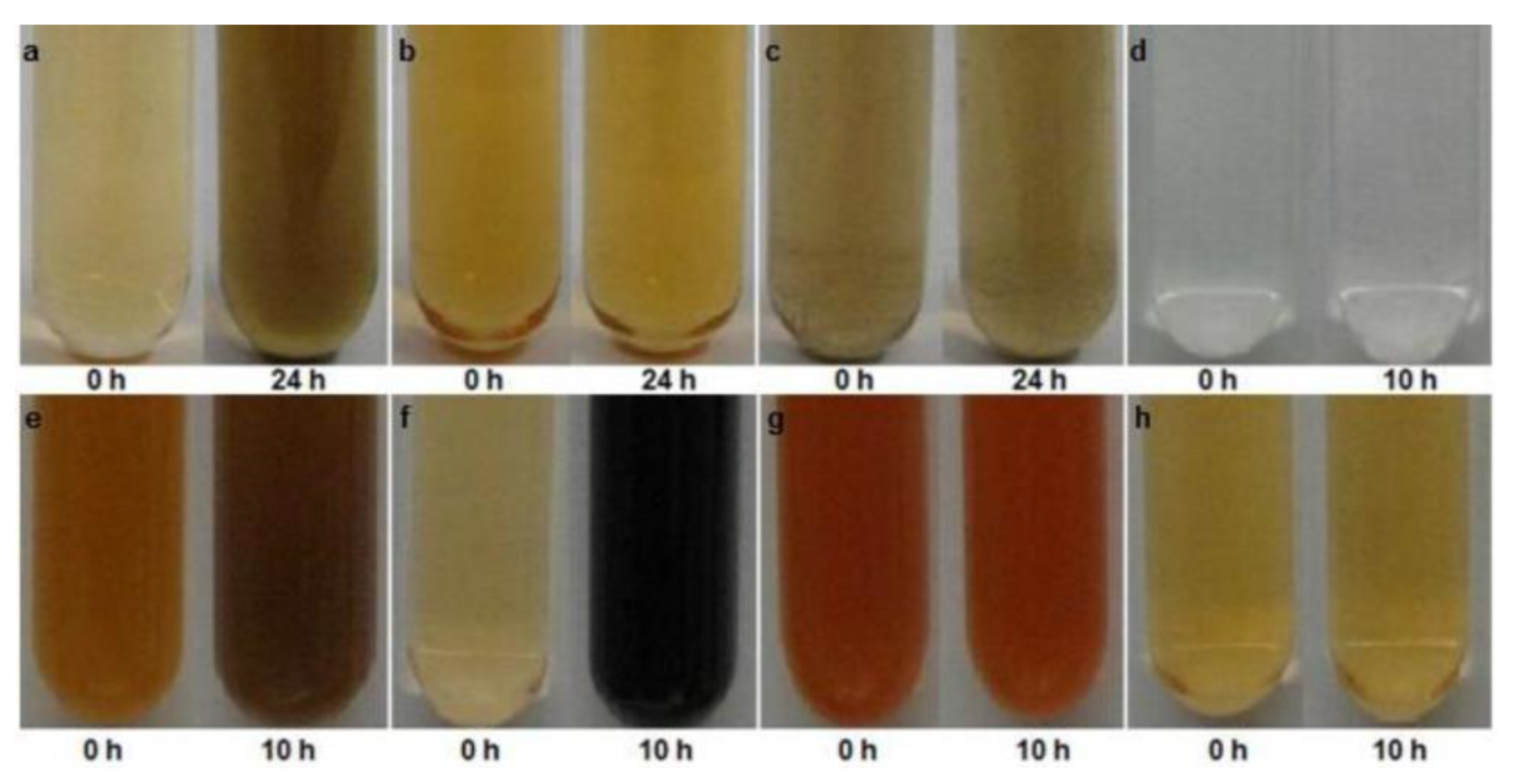 Microorganisms 07 00601 g006