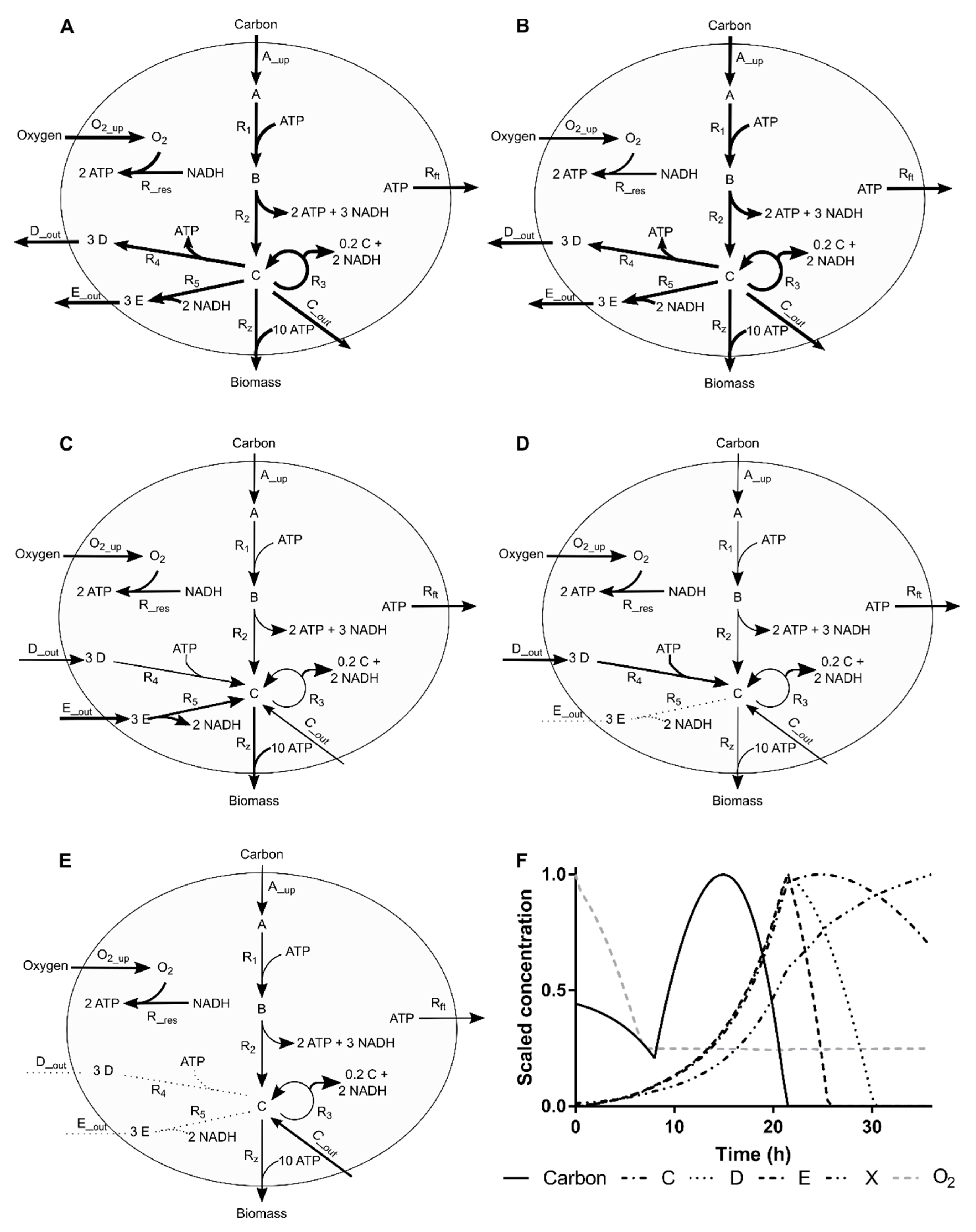 Microorganisms 07 00620 g001