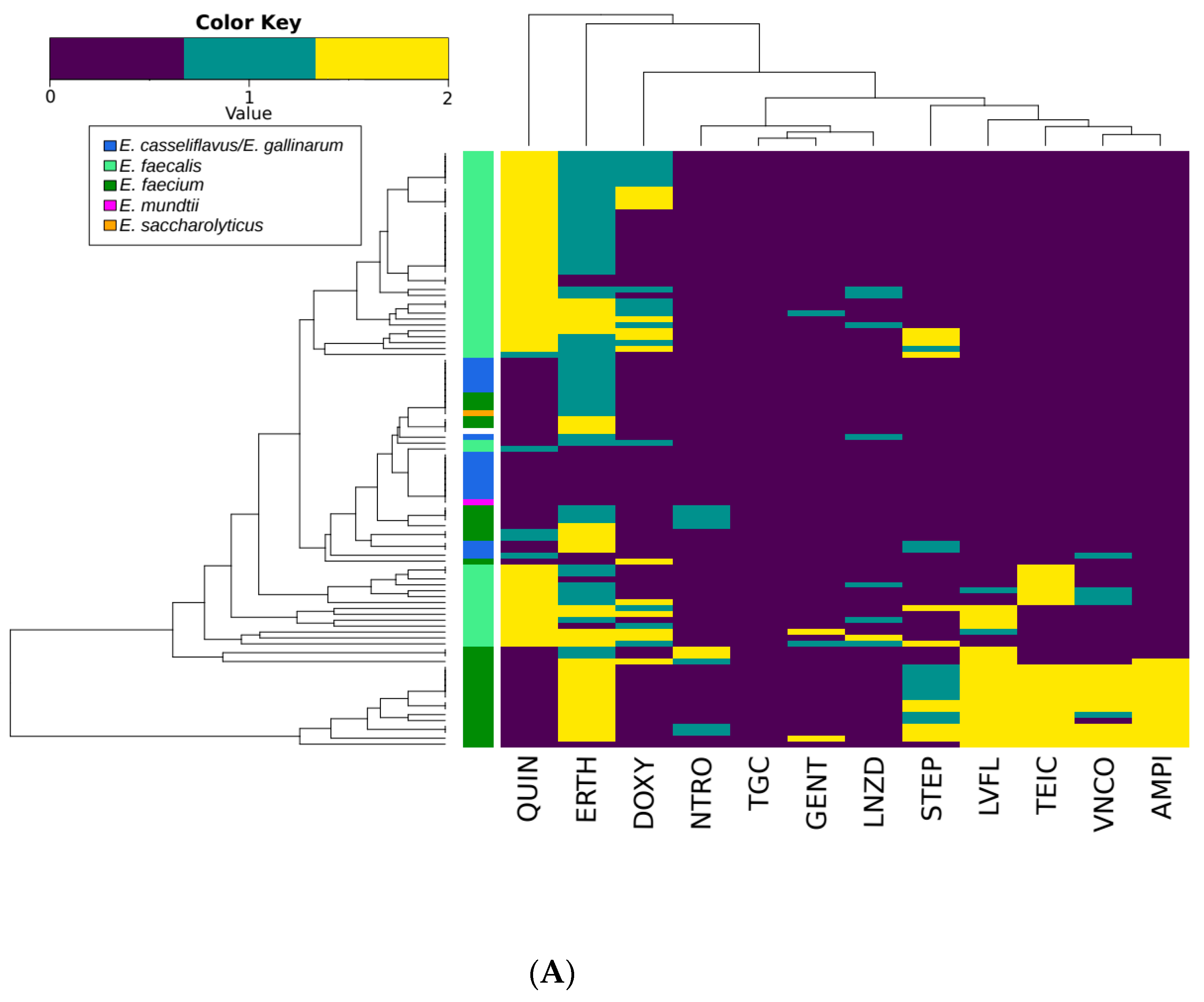 Microorganisms 07 00626 g002a
